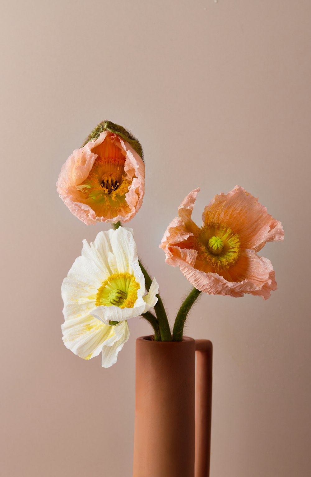 Tres flores en un jarrón sobre una mesa