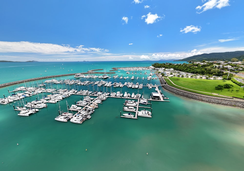 a large body of water filled with lots of boats