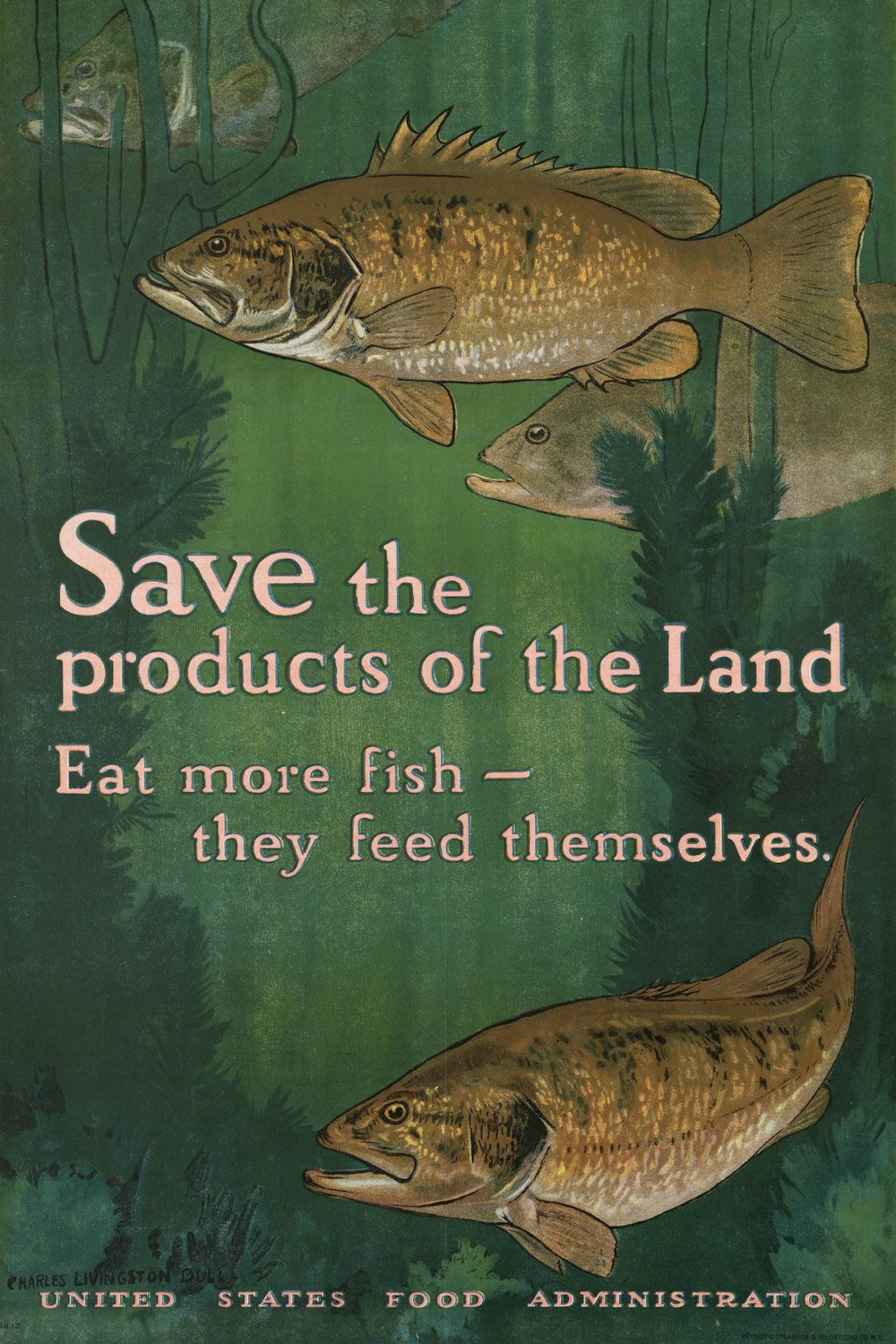 a poster with two fish in the water