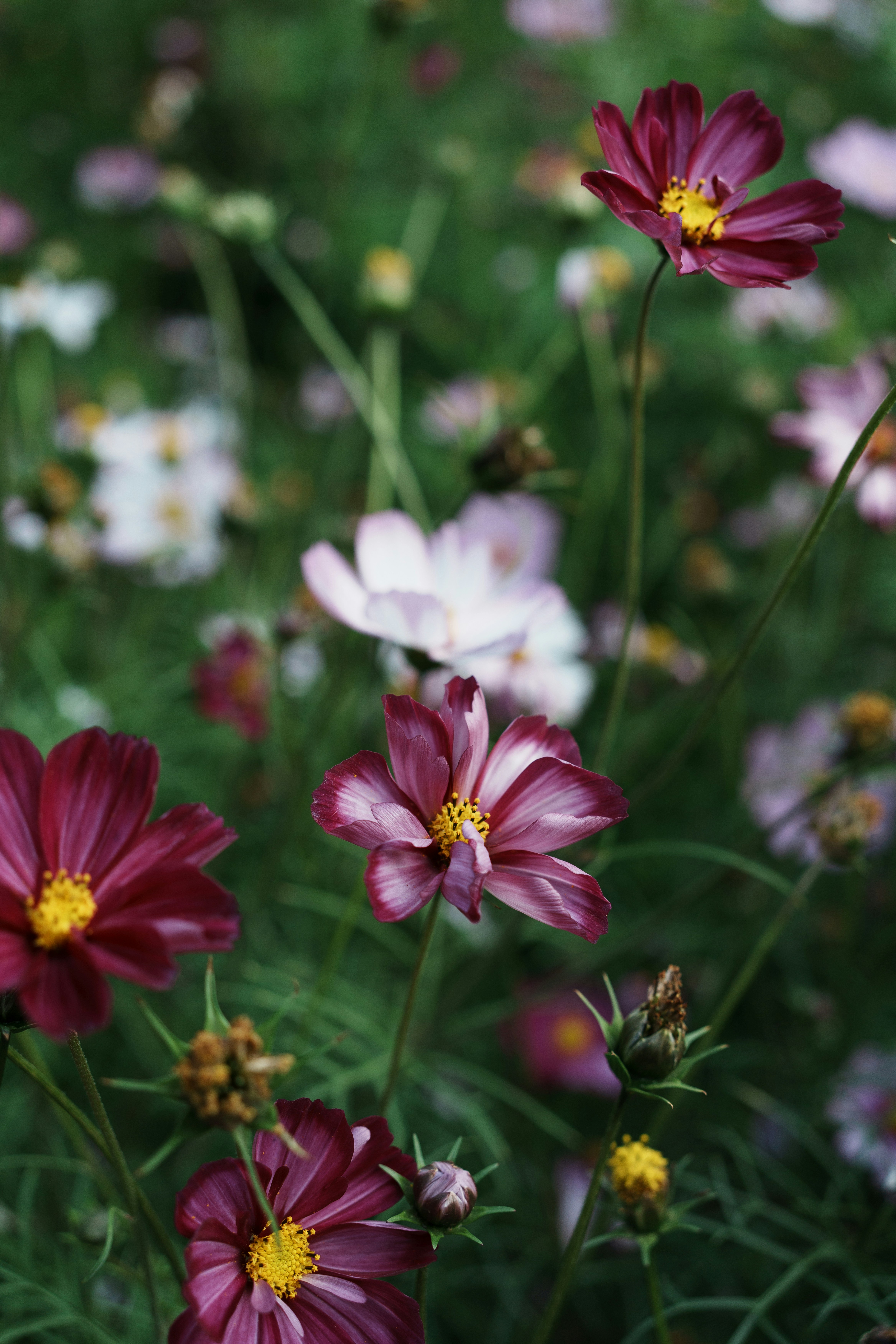 Photo by toxicsmoker