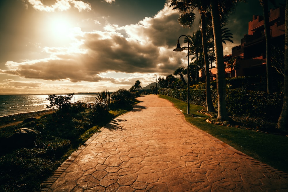 a pathway leading to a beach with palm trees