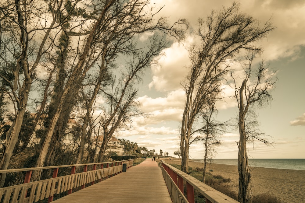 a wooden walkway leading to a beach with trees