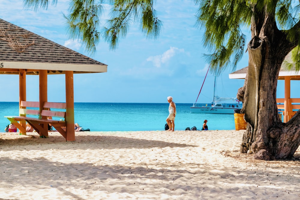 a beach with a tree and people on it