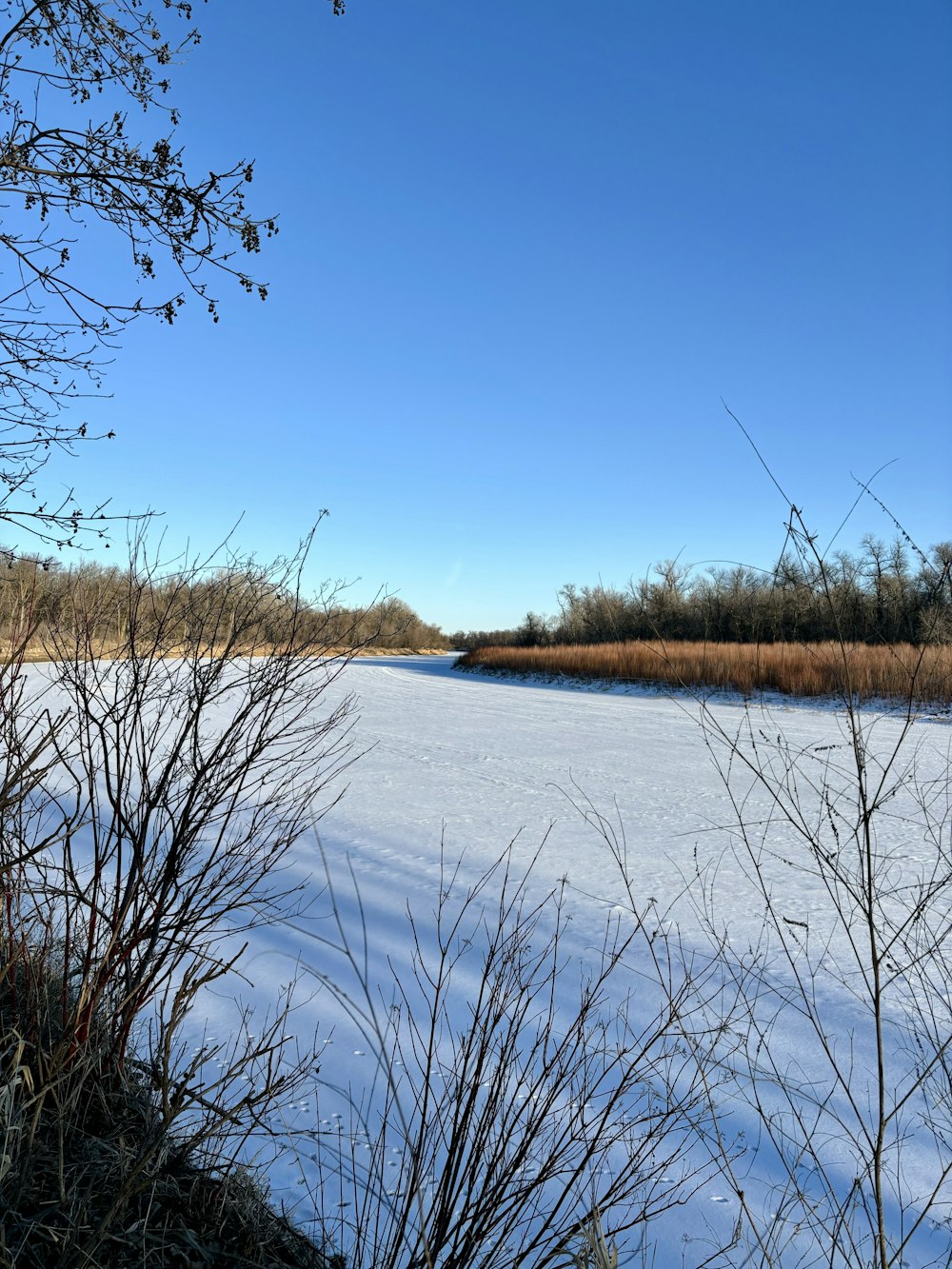 a snow covered field next to a river