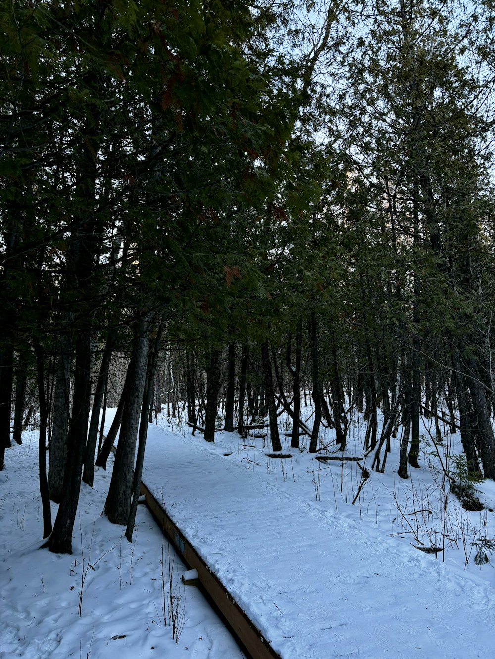 a wooden bench sitting in the middle of a snow covered forest