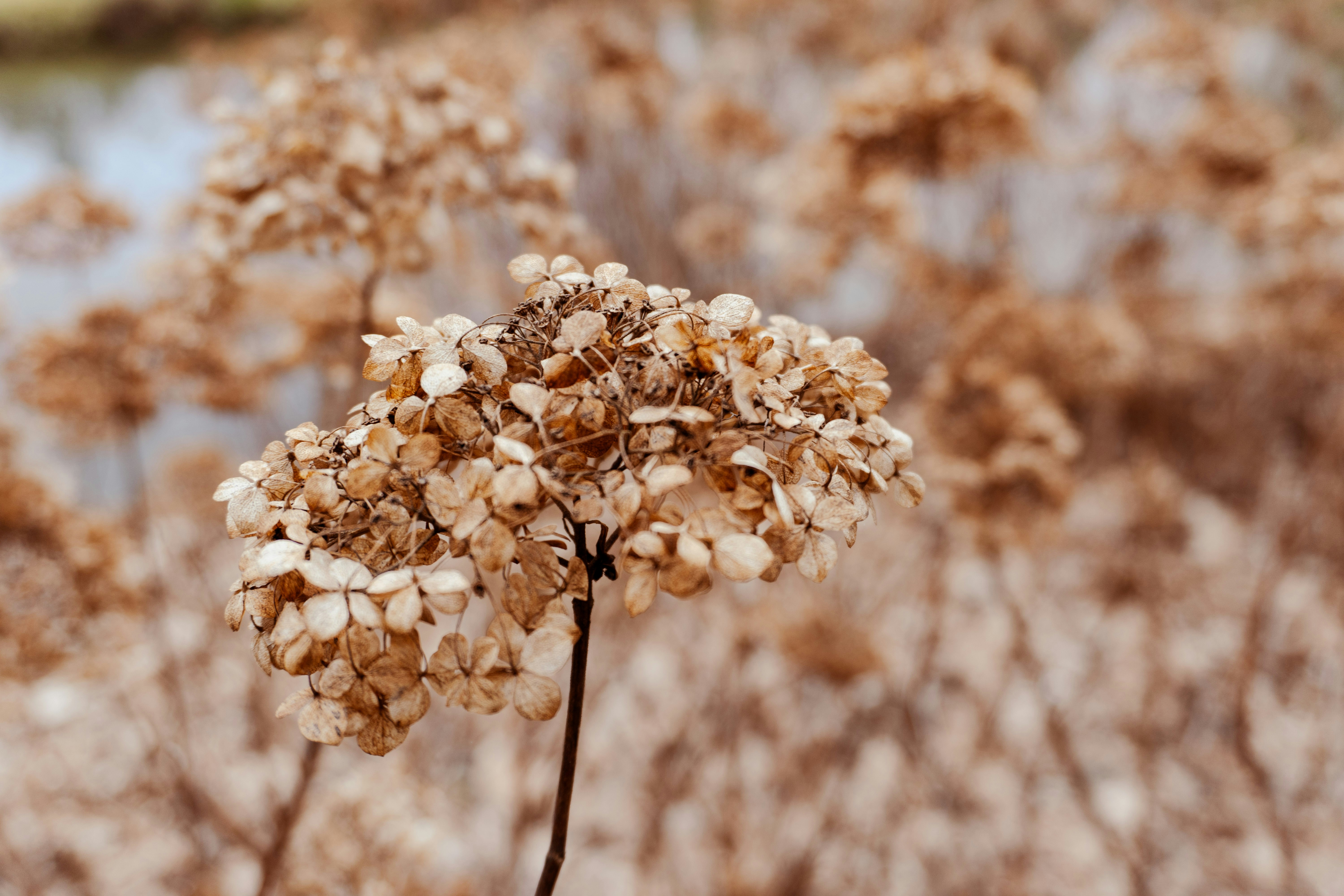 Photo by nicola_welner