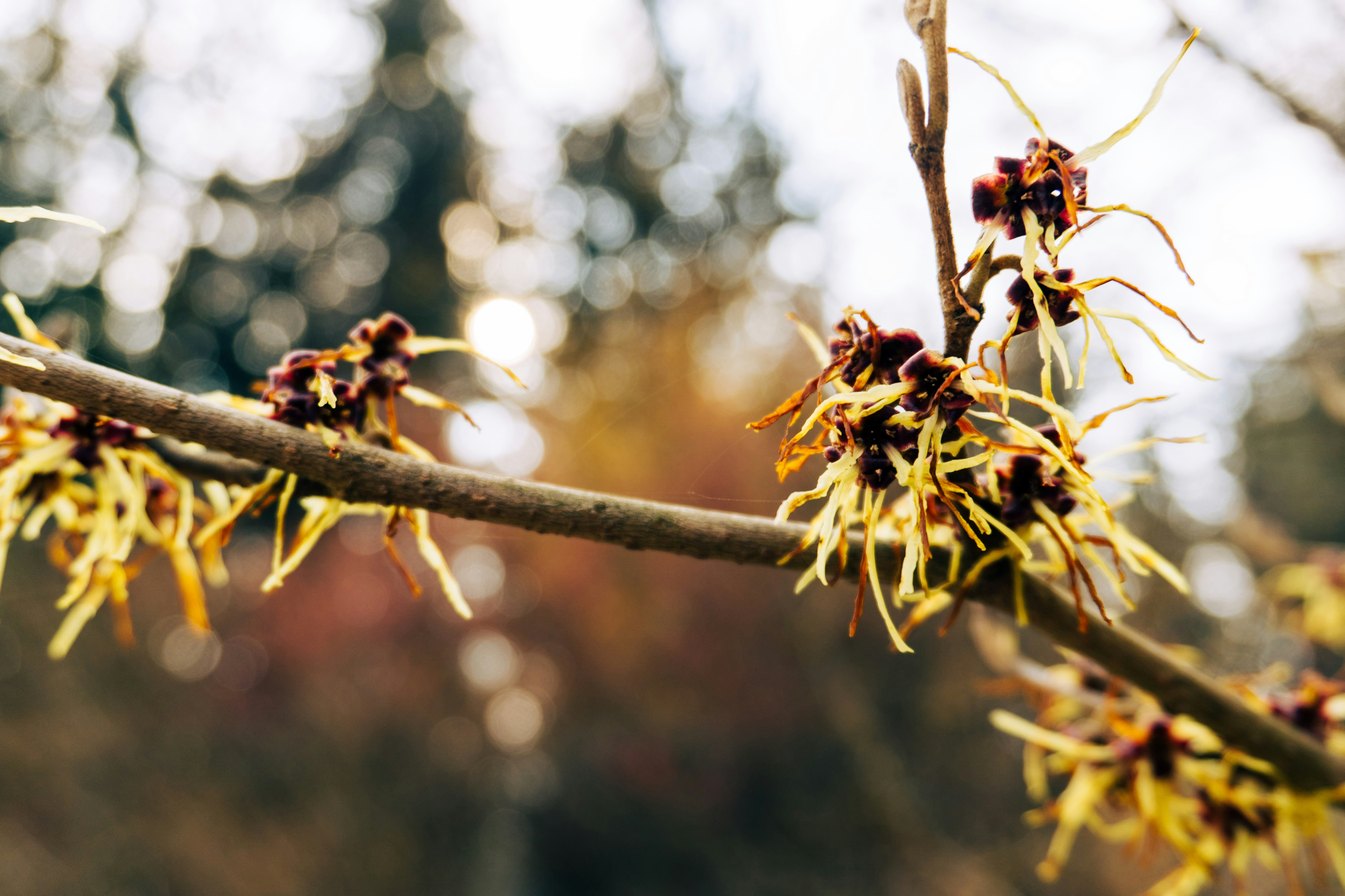 Photo by nicola_welner