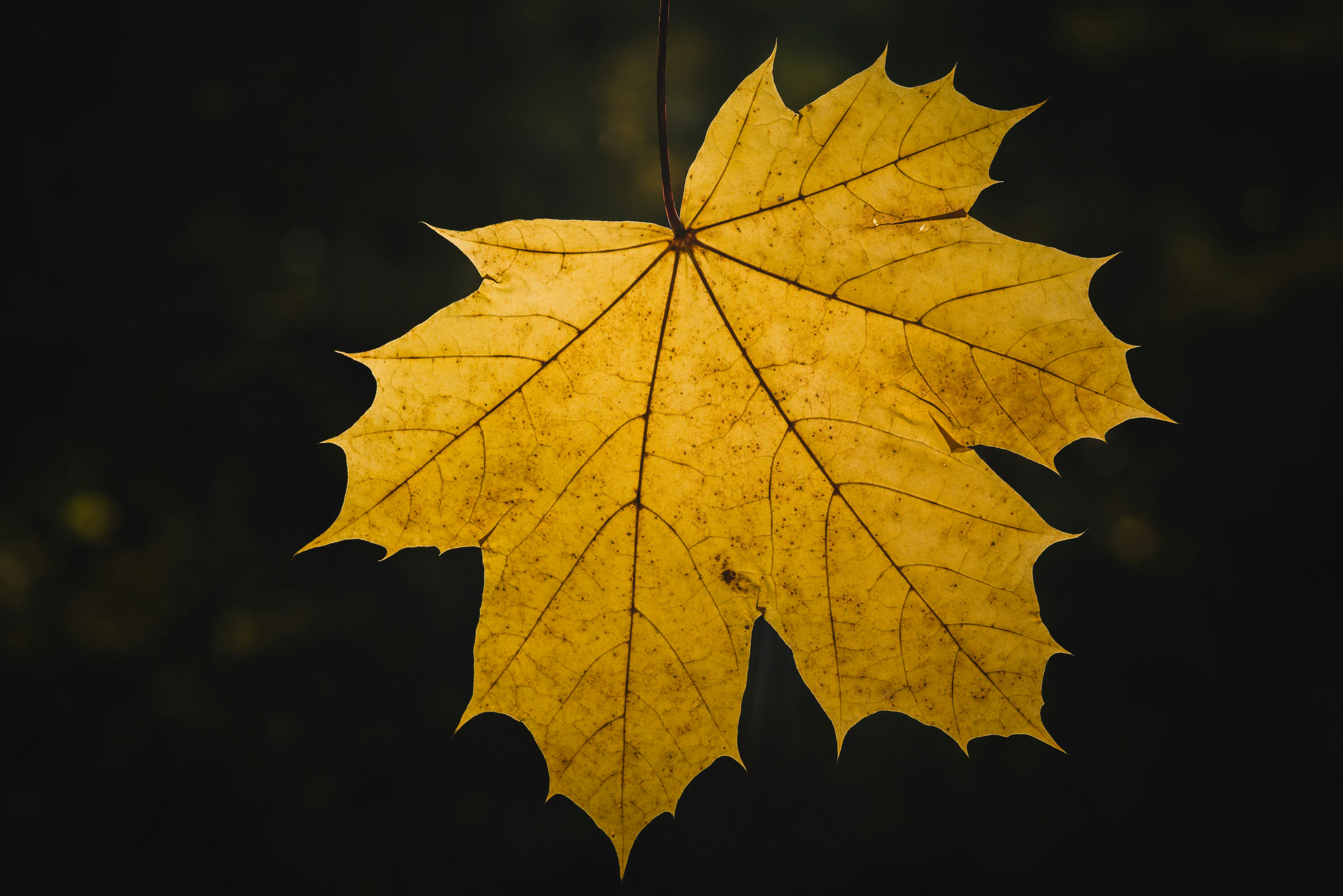 Photo by hamburgmeinefreundin