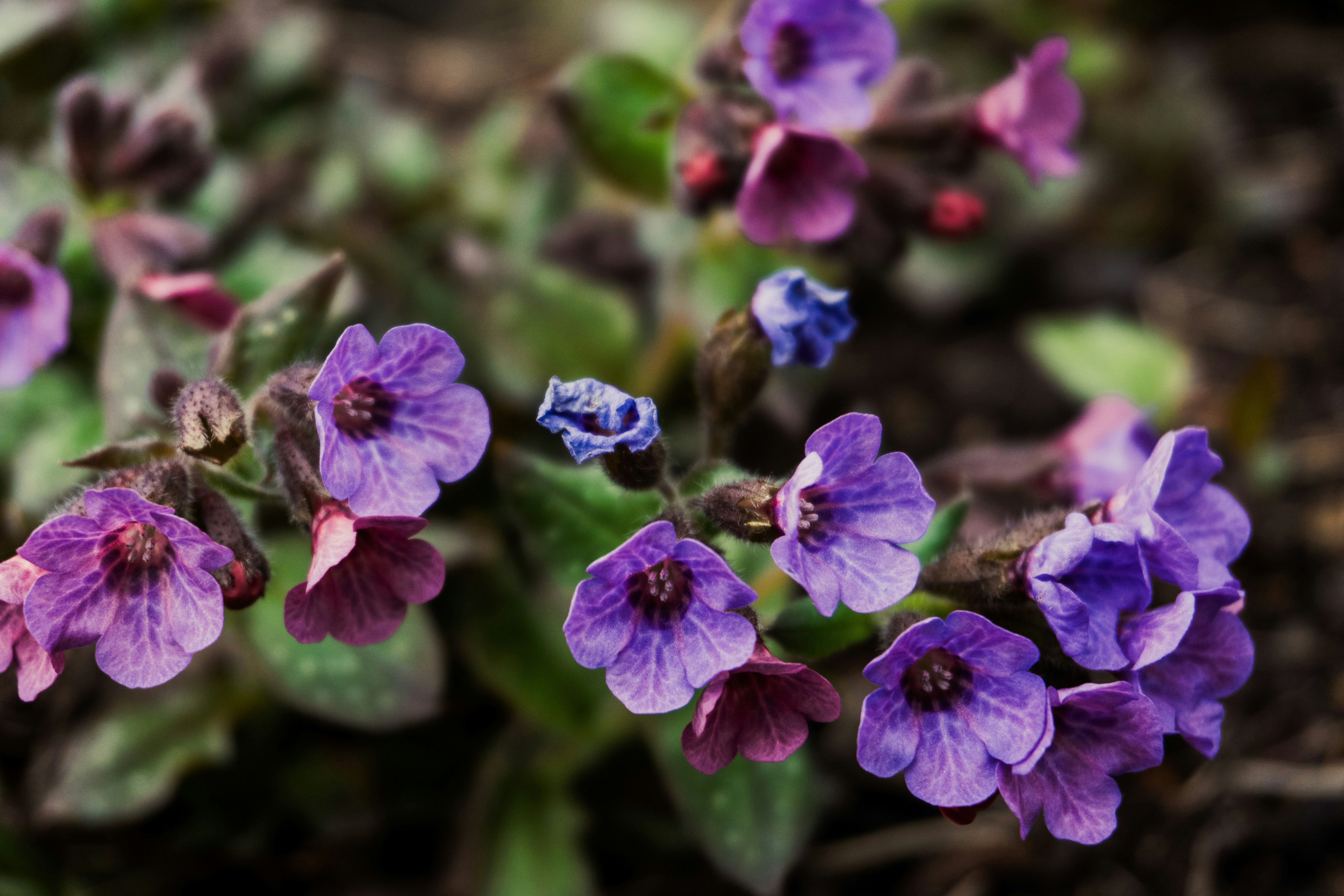 Photo by nicola_welner