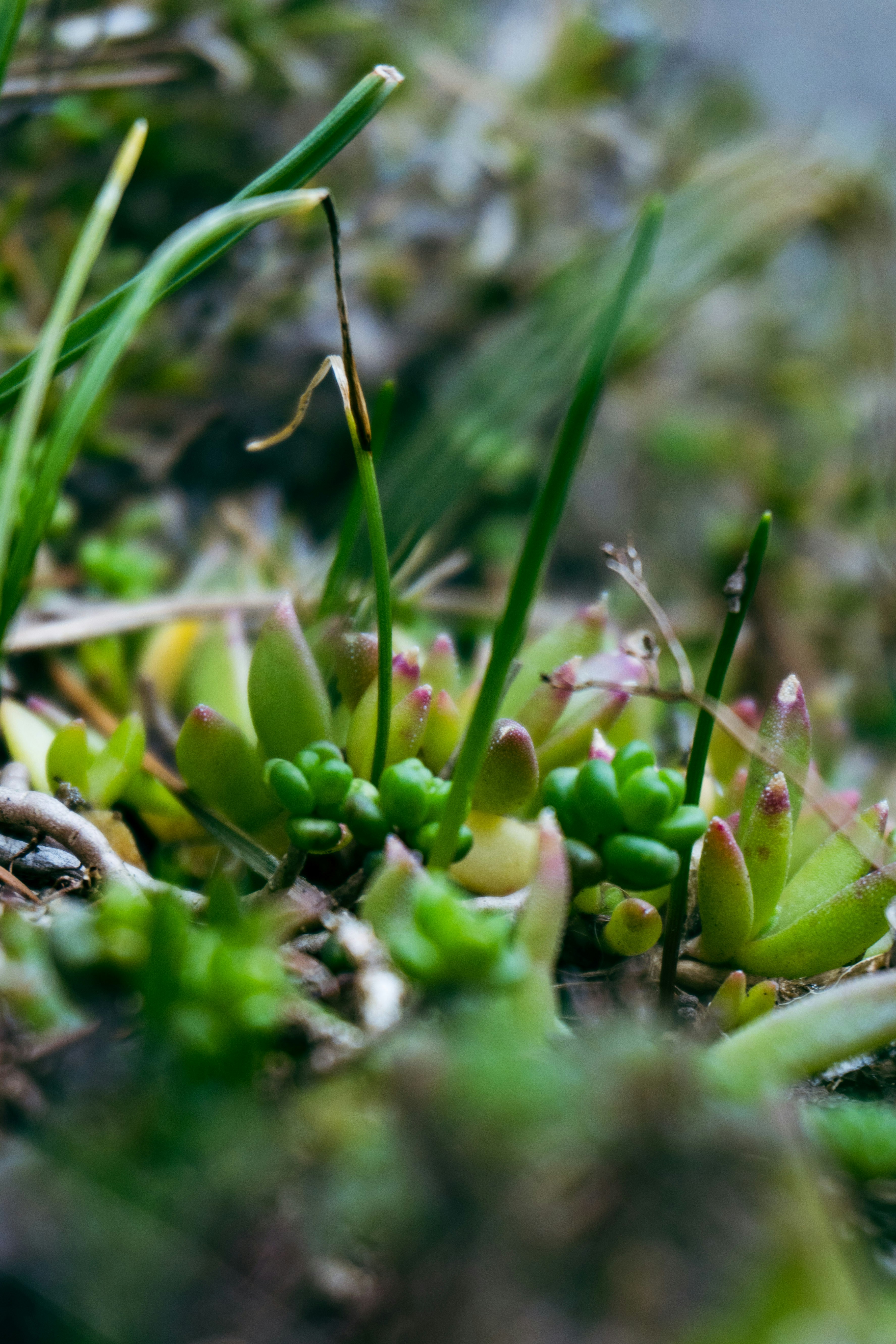 Photo by nicola_welner