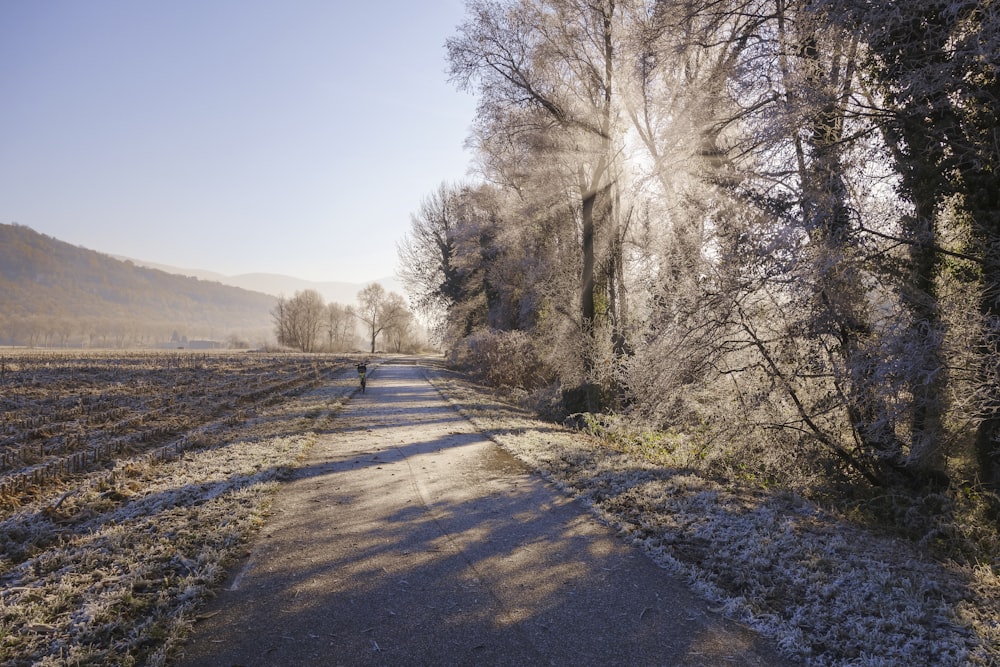 a person walking down a path in a field