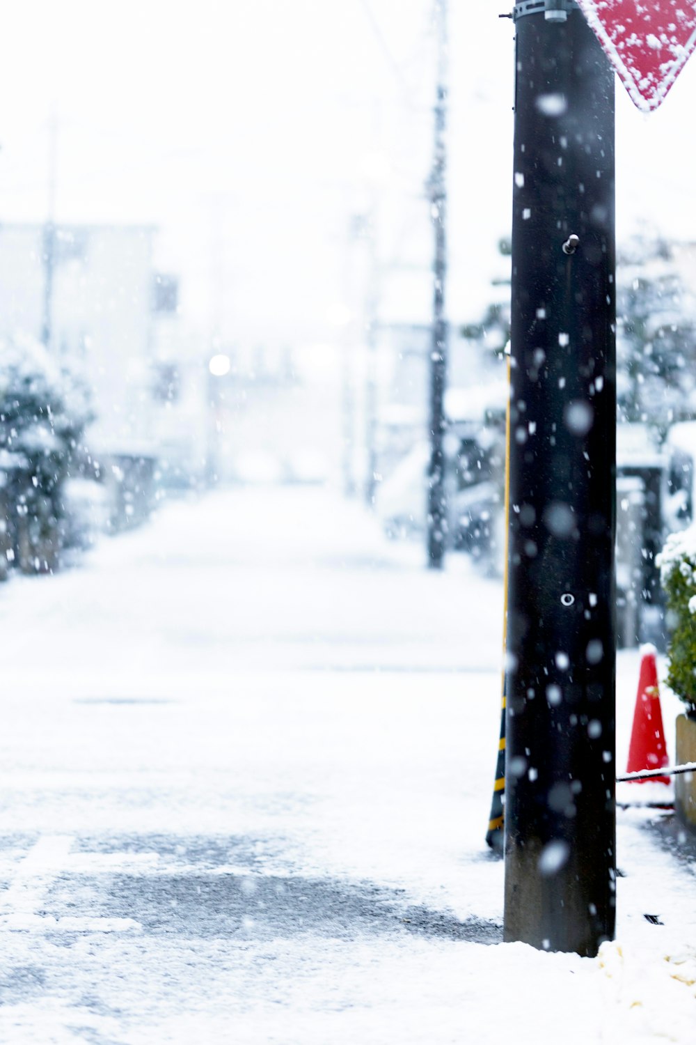 a street sign on a pole in the snow