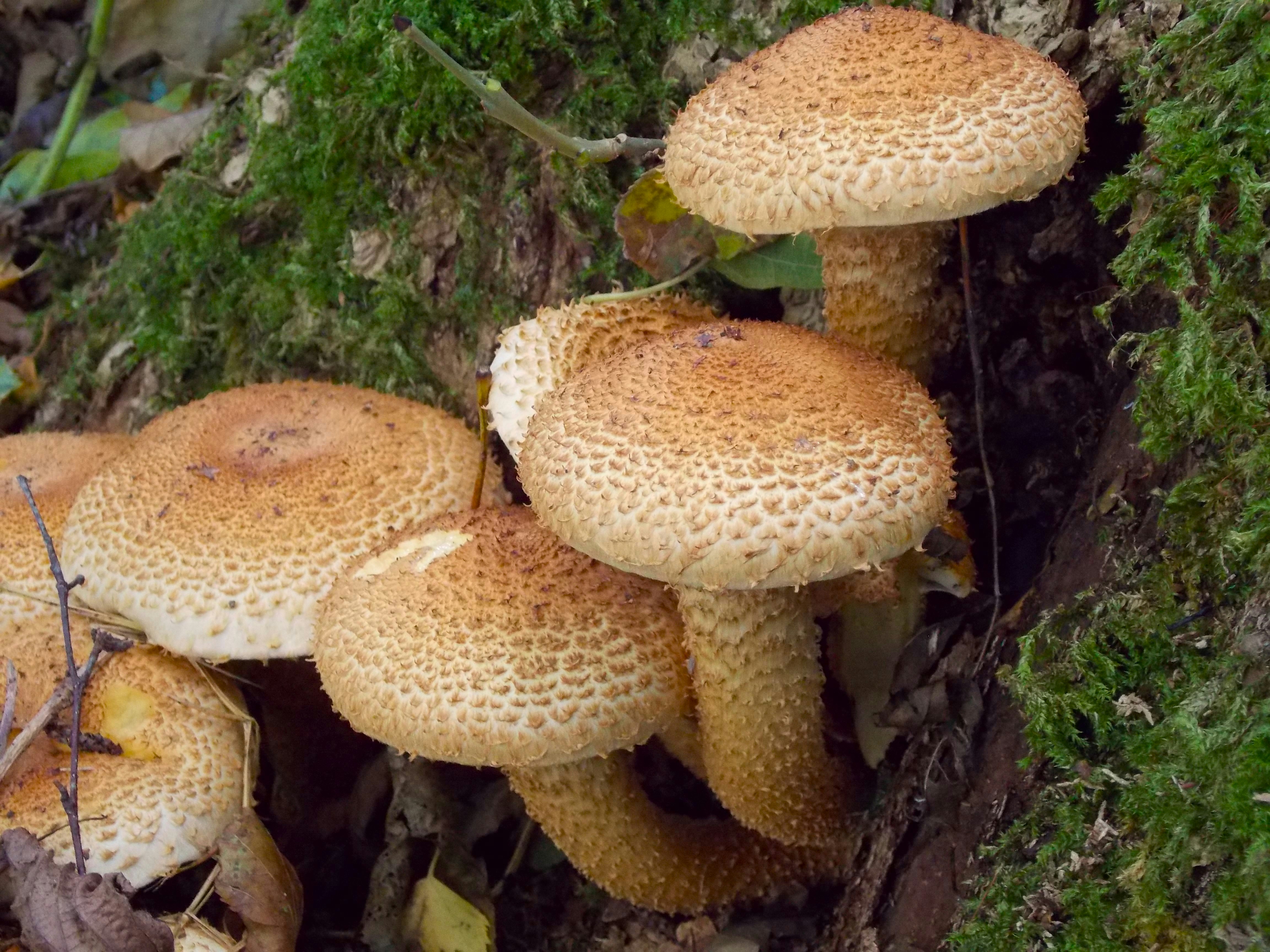 Photo by itskylebrooks