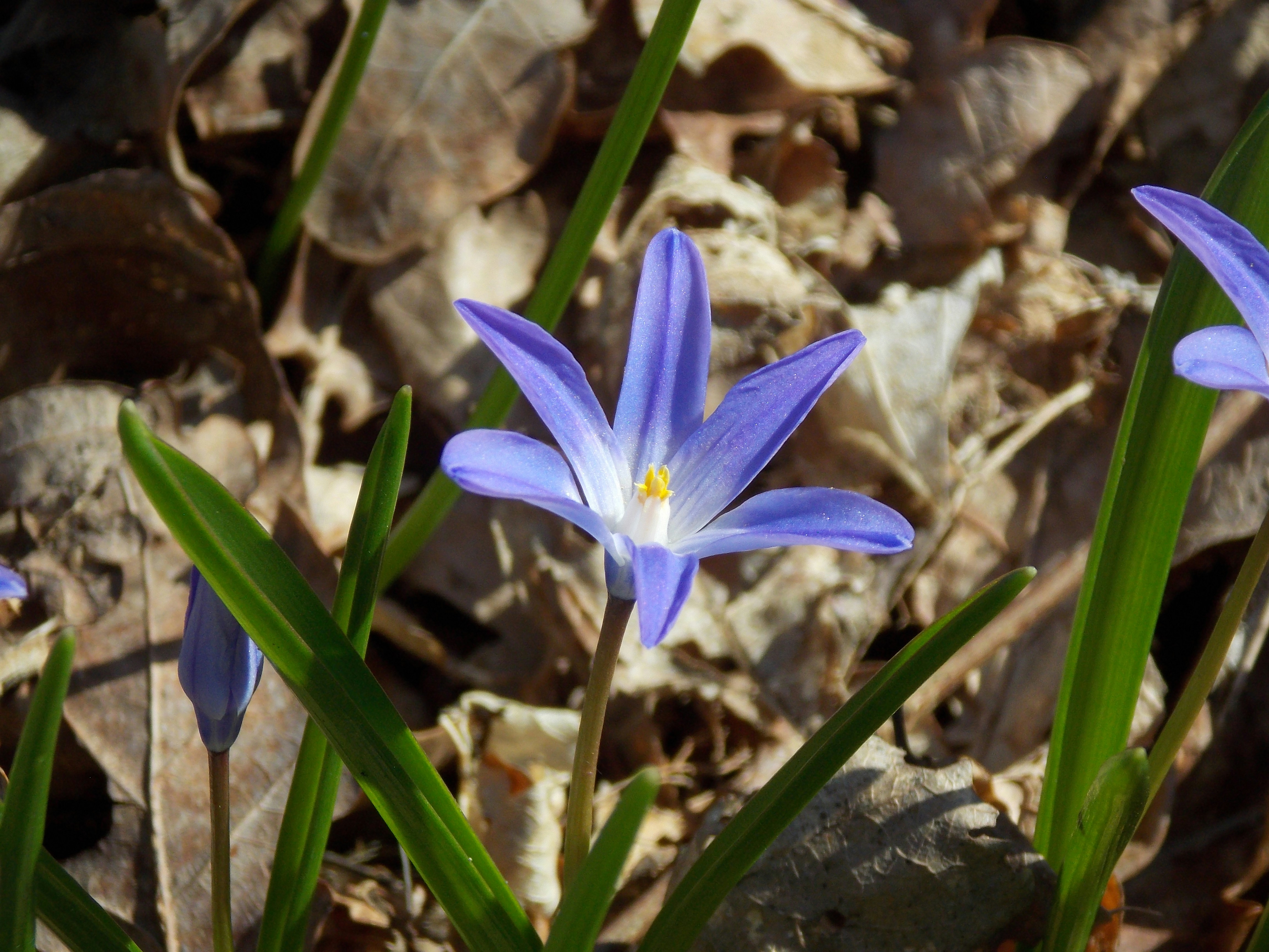 Photo by itskylebrooks