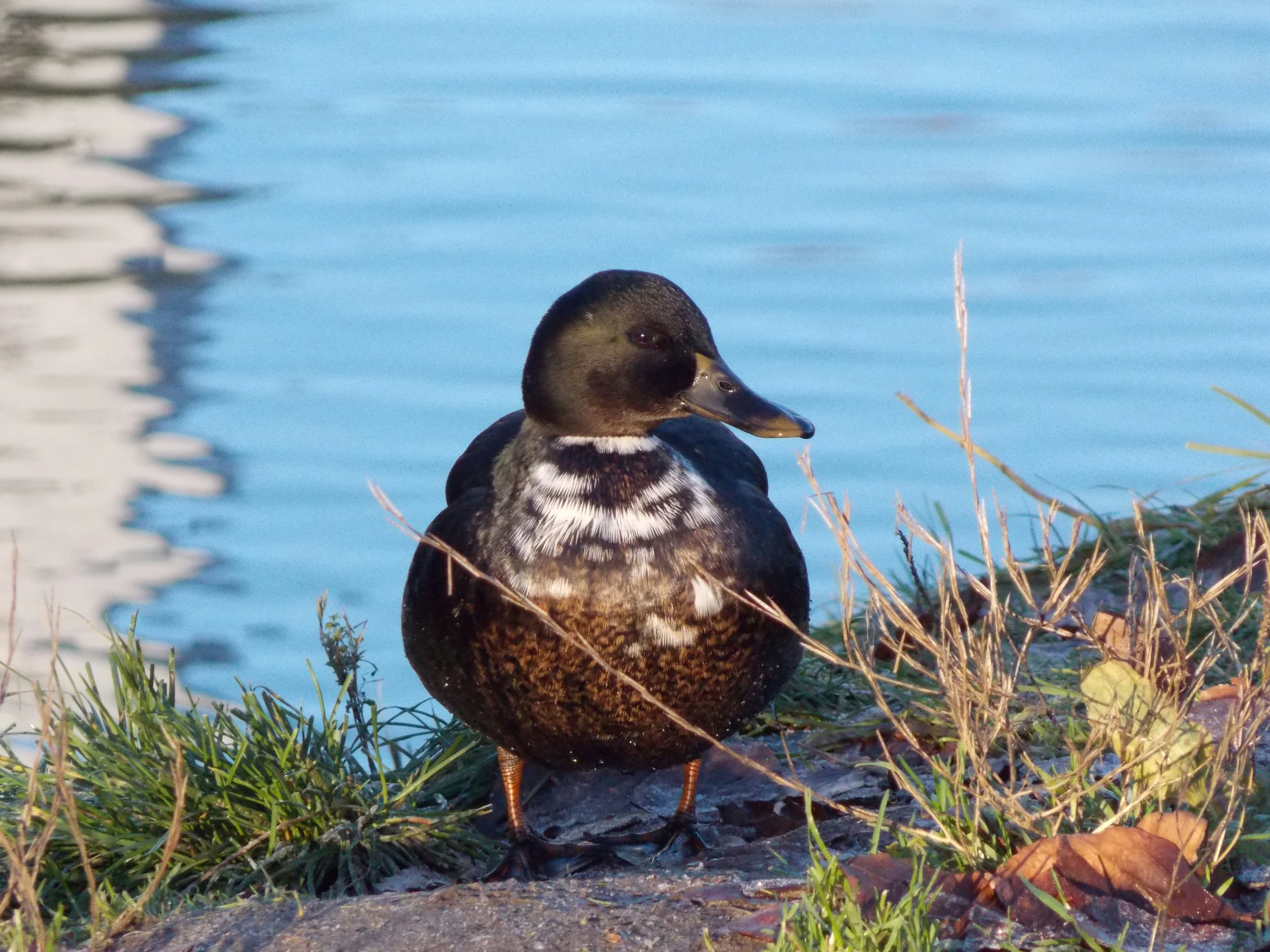 Photo by itskylebrooks