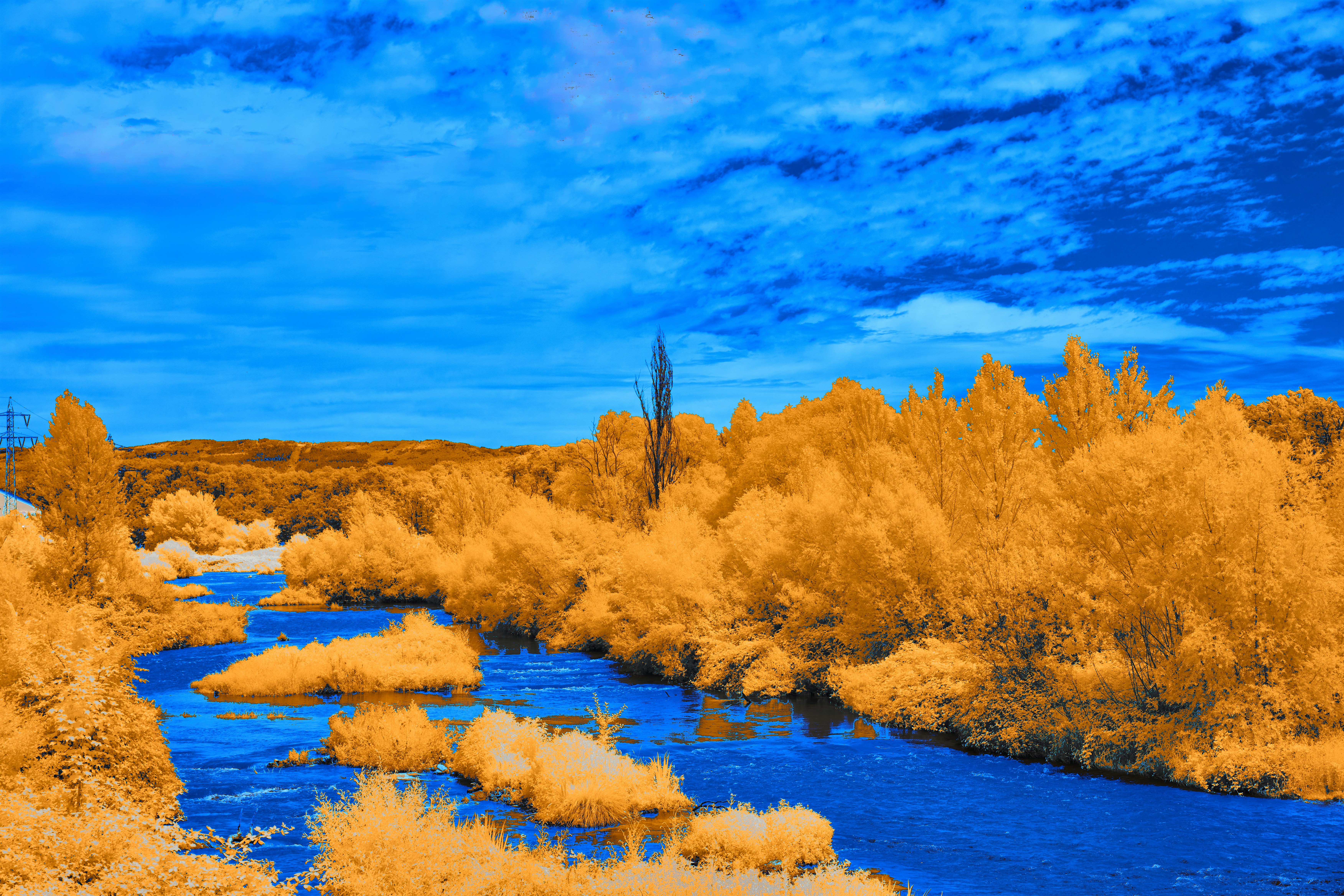 Photo by wolfgang_hasselmann