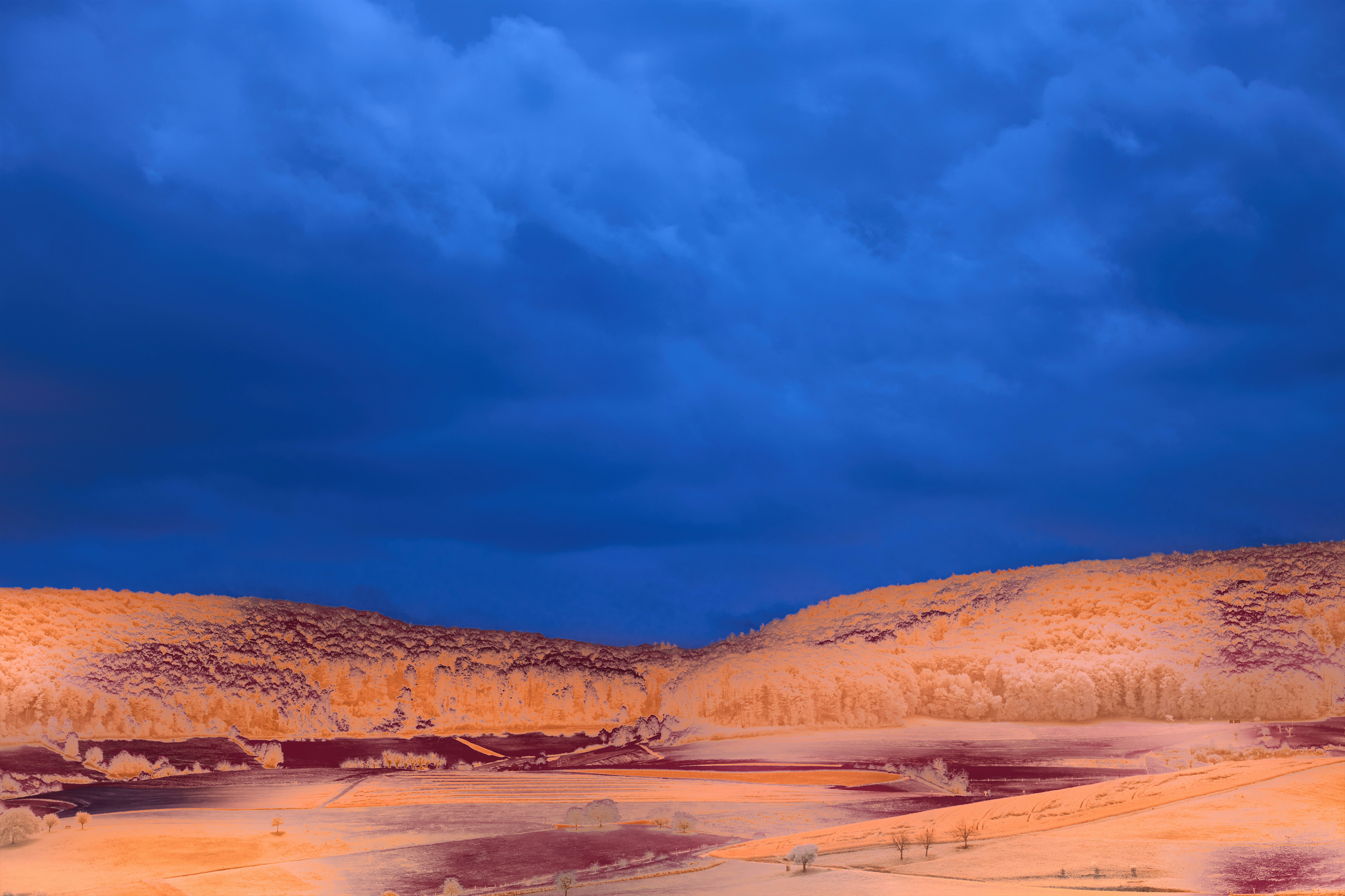 Photo by wolfgang_hasselmann