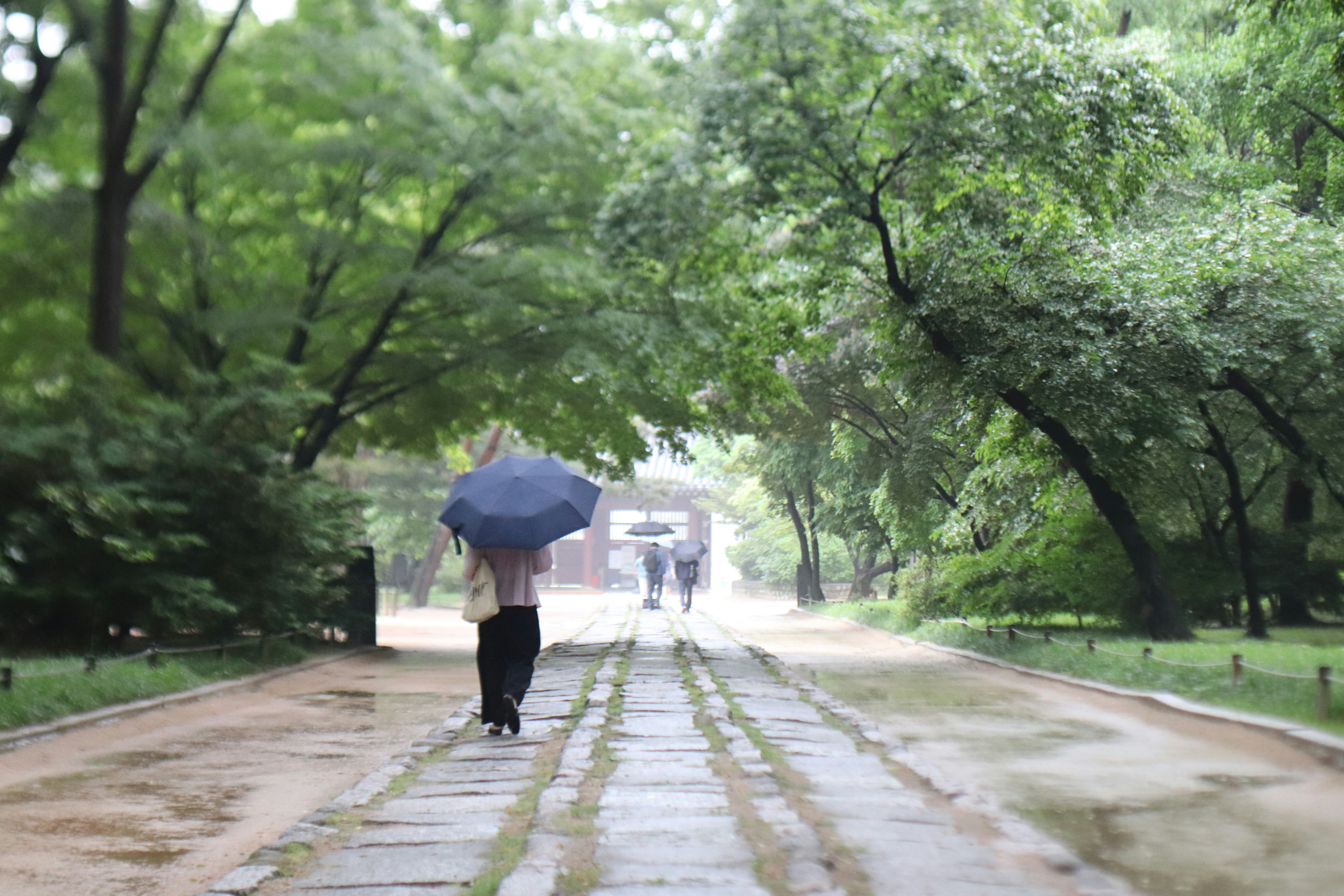 Photo by offtoseetheworld