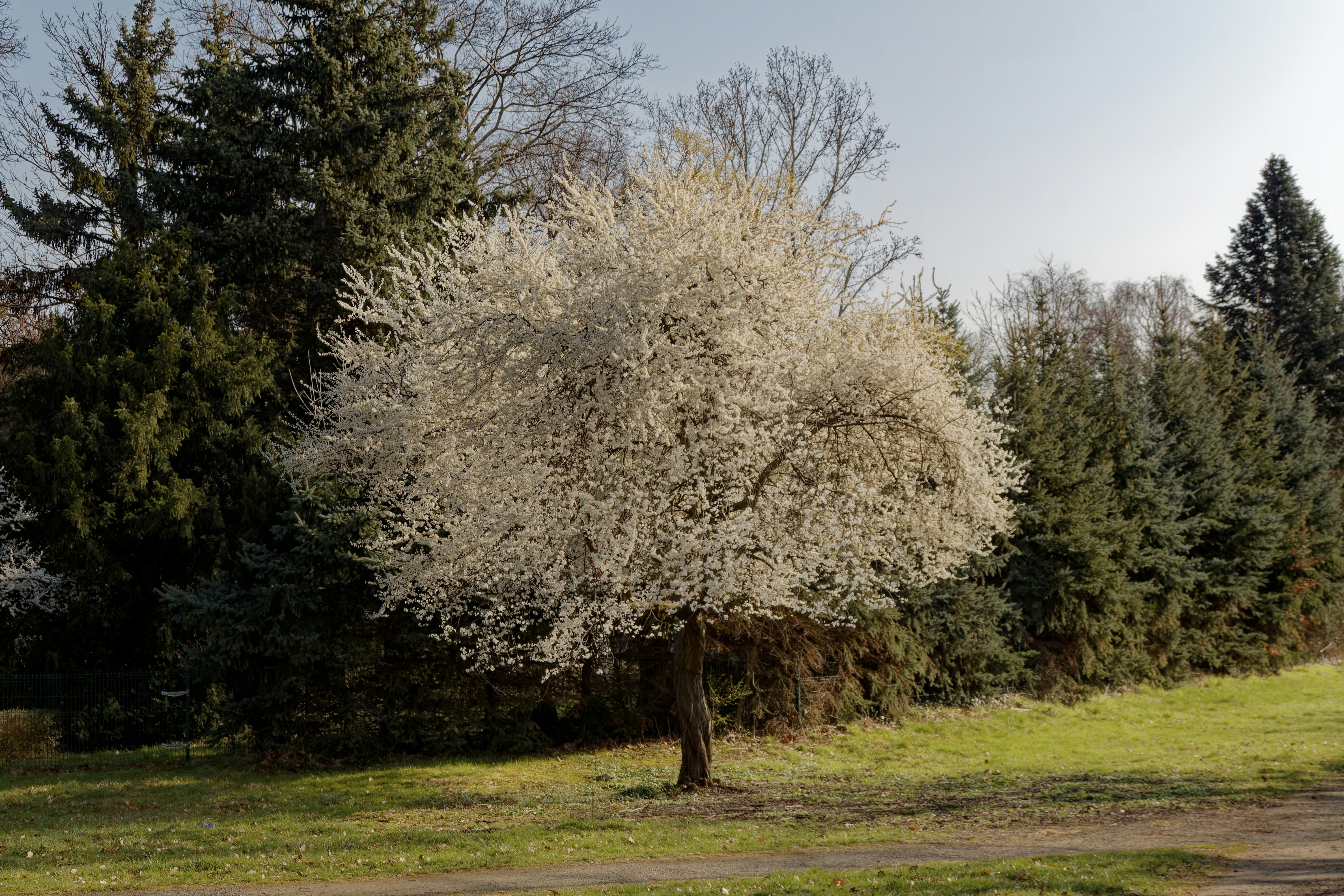 Photo by benkupke