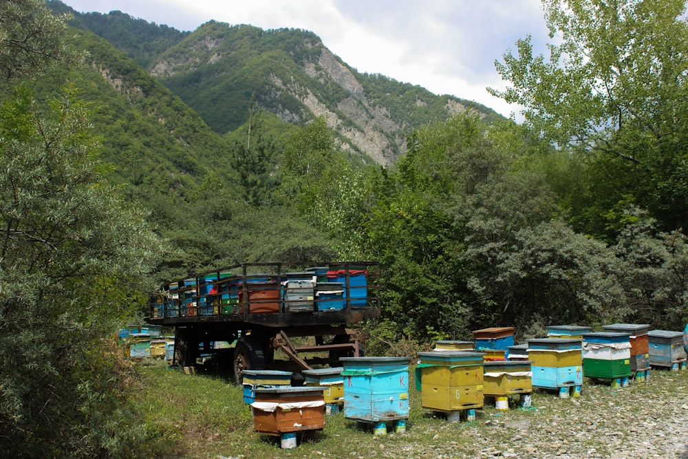 ein Haufen Bienenstöcke, die im Gras sitzen
