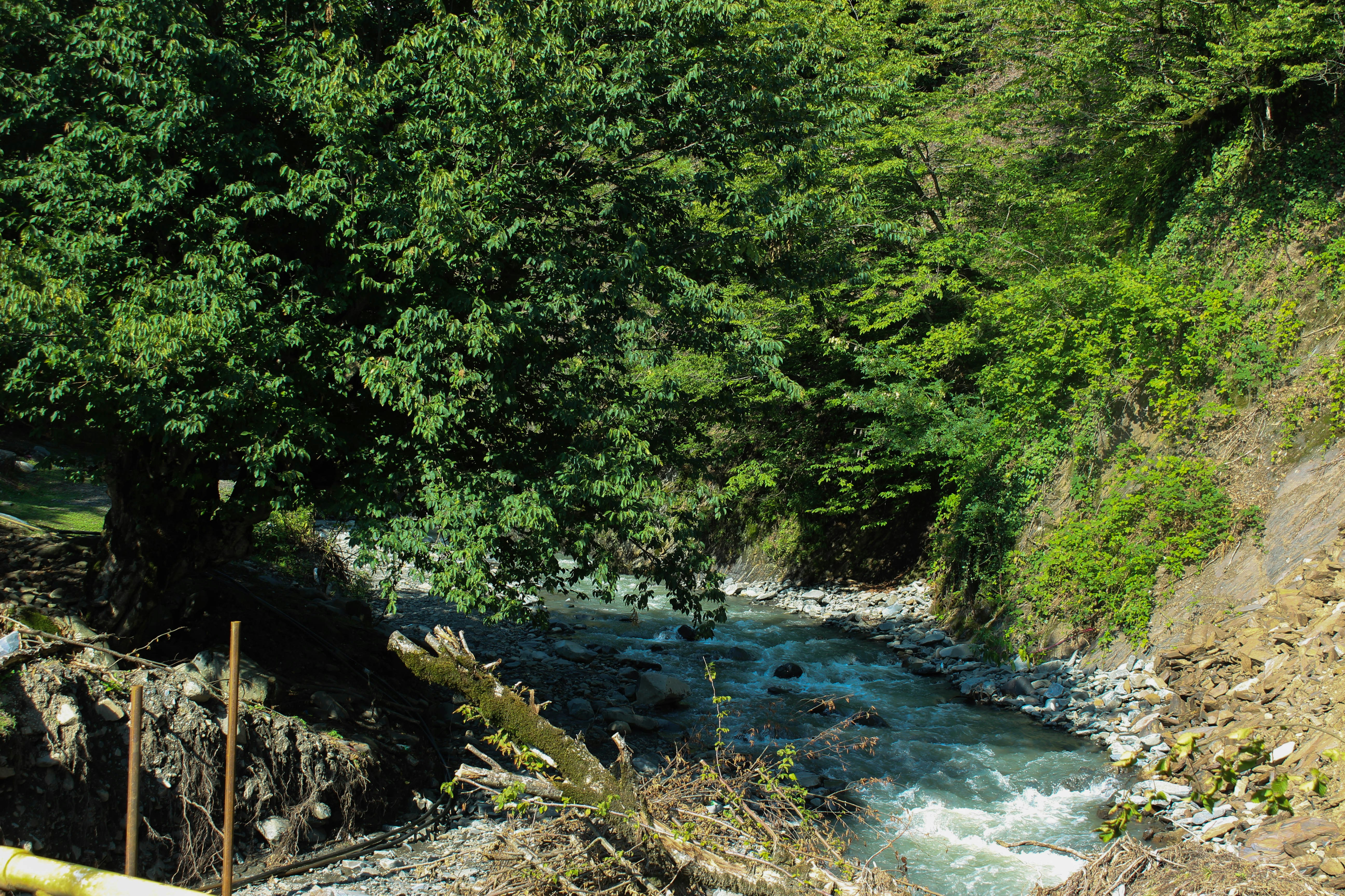 Photo by mehseticelilli