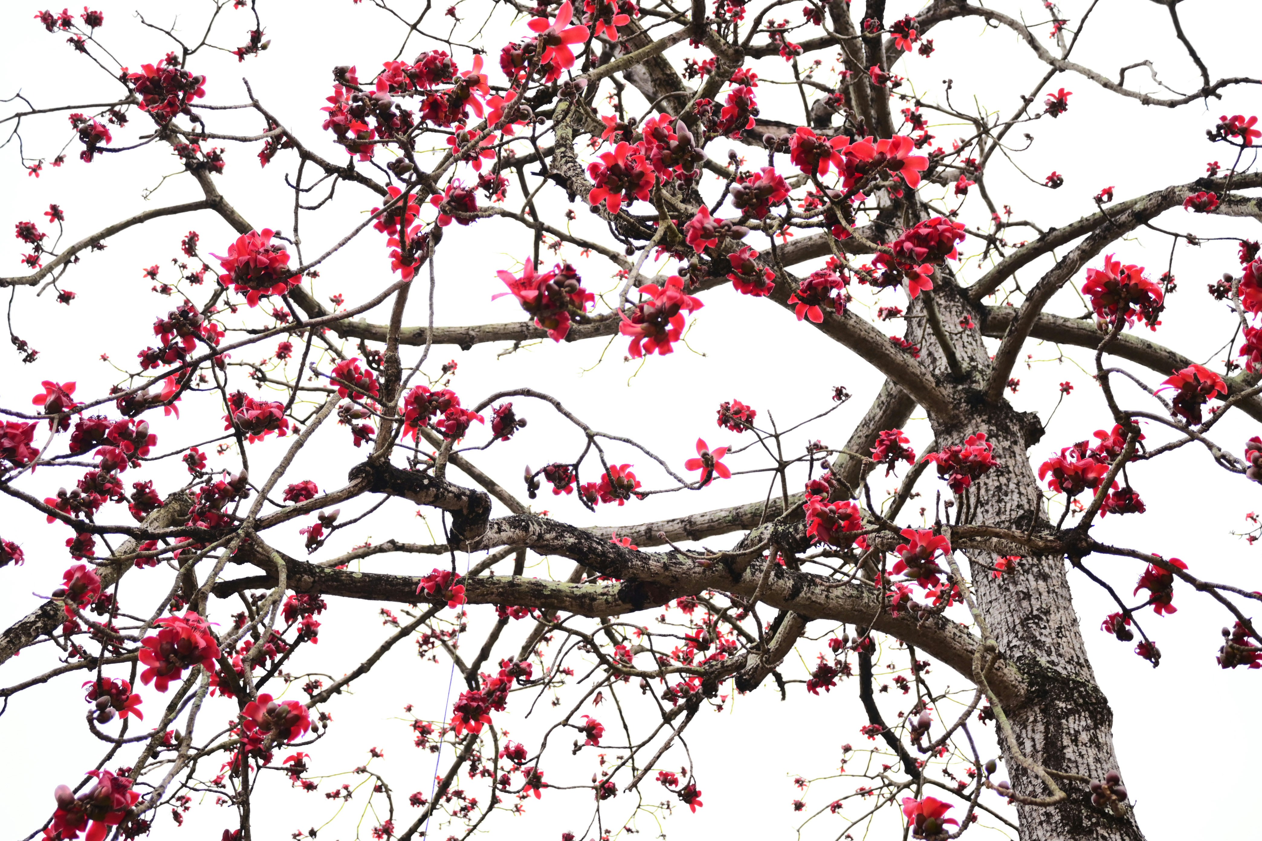 Photo by kinferiority