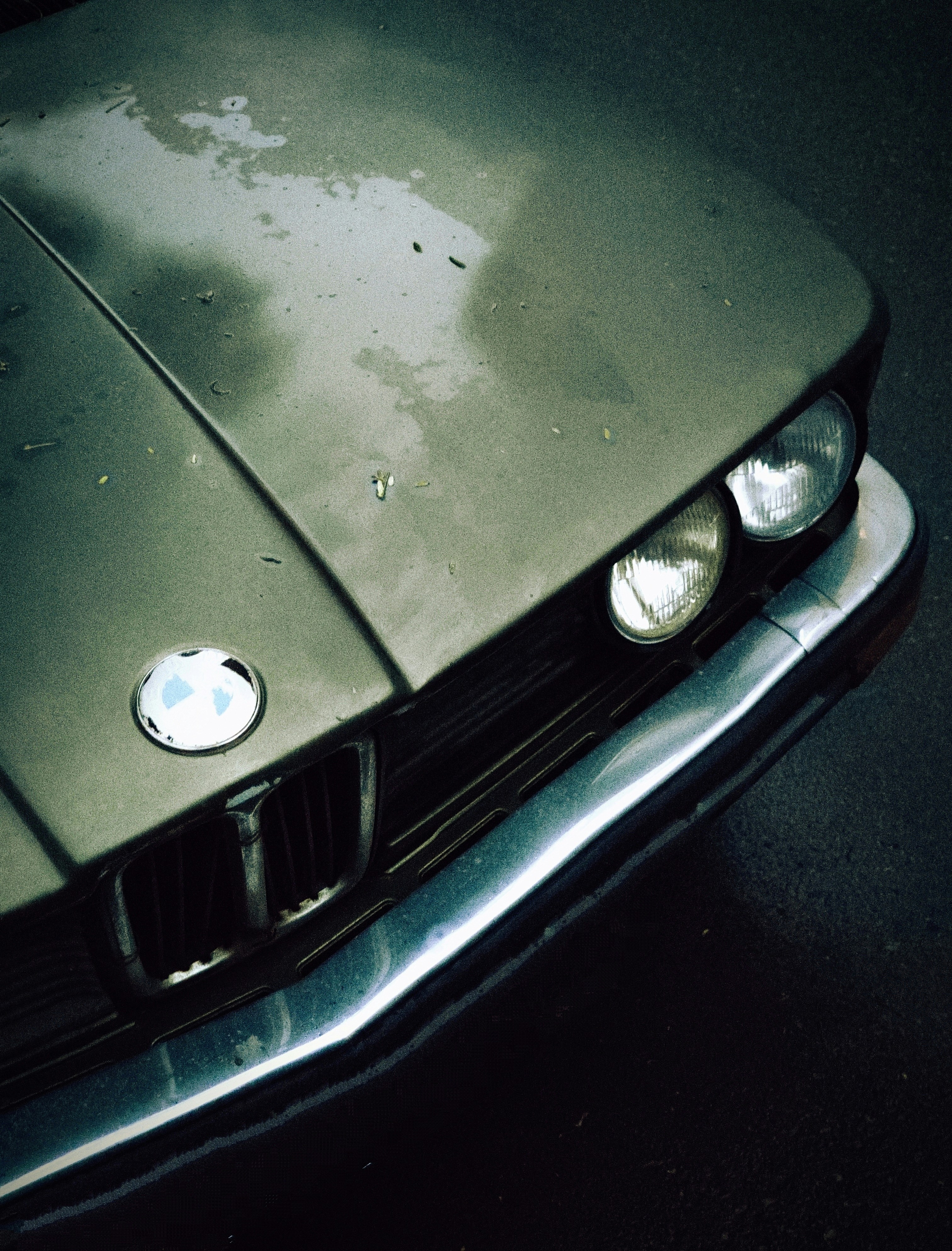 Photo by ilostmyselfout