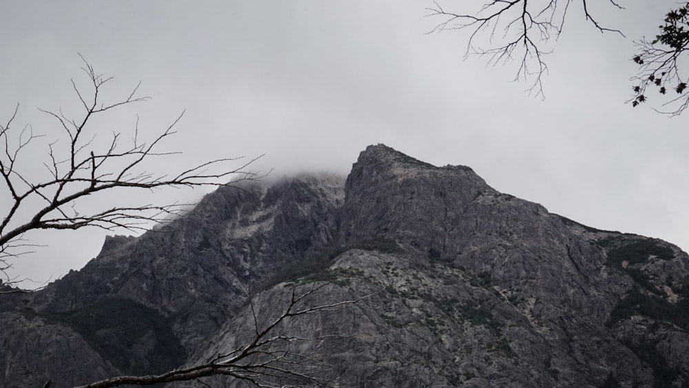 a very tall mountain with some trees in front of it