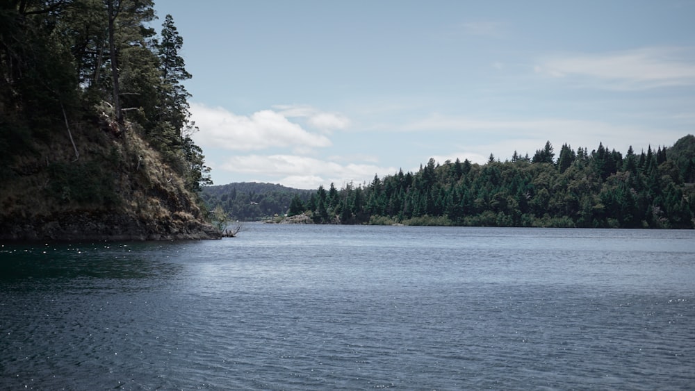 a large body of water surrounded by trees