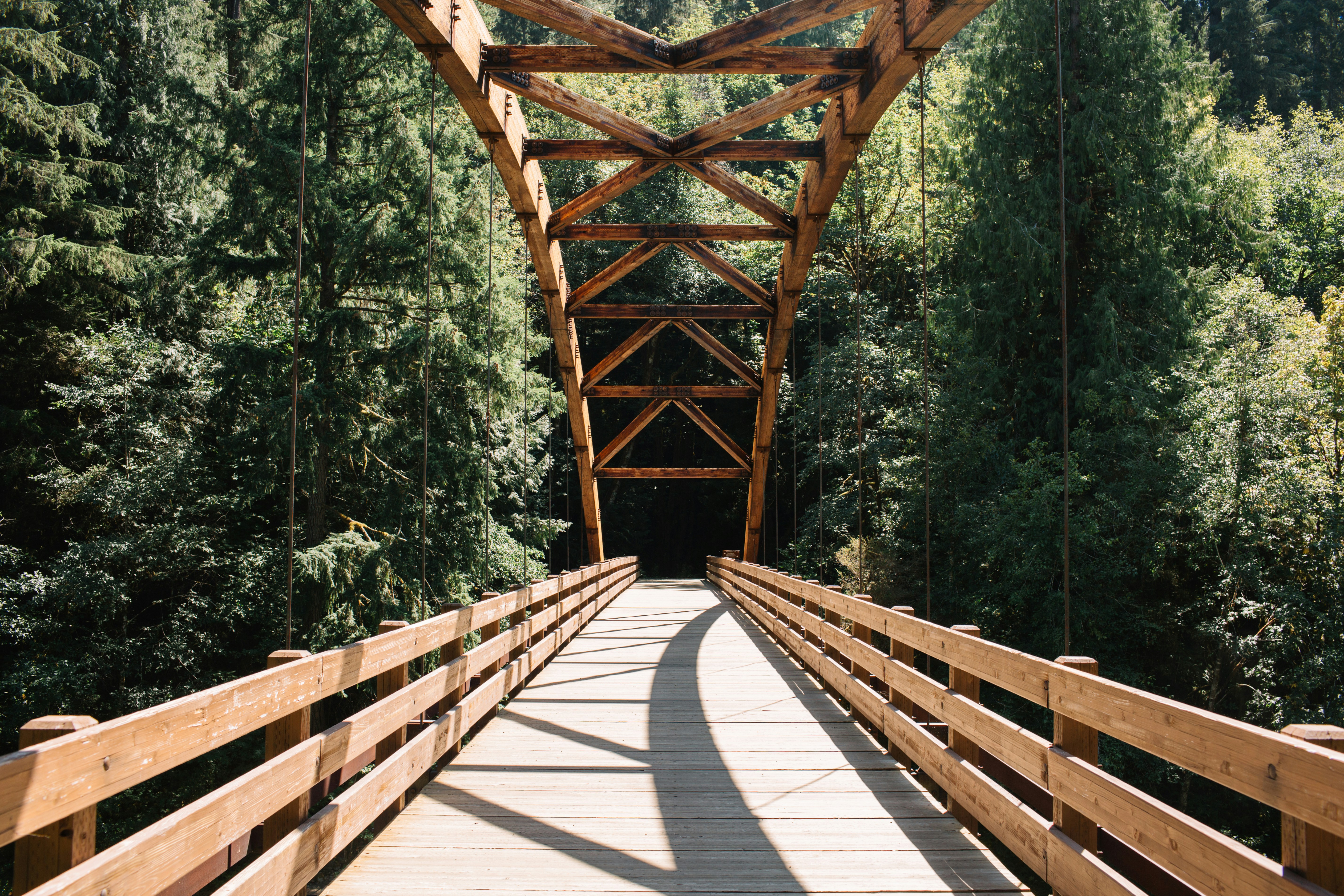 a wooden bridge over a river surrounded by trees