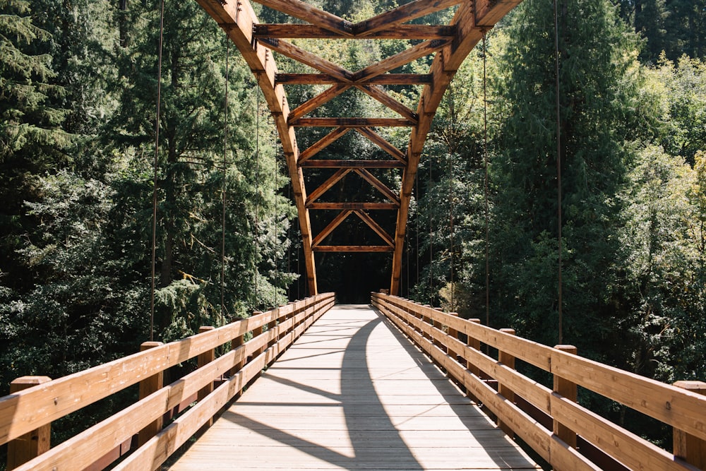 a wooden bridge over a river surrounded by trees