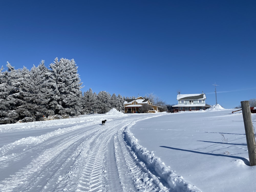 a snow covered road with a house in the background