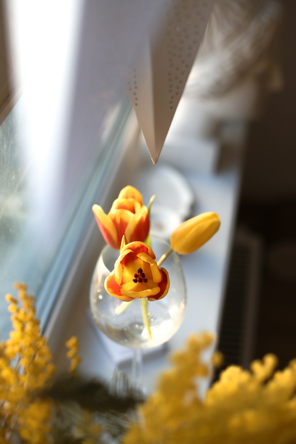 a vase filled with yellow flowers next to a window