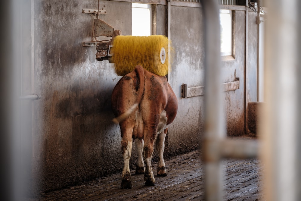 a brown horse standing next to a metal wall