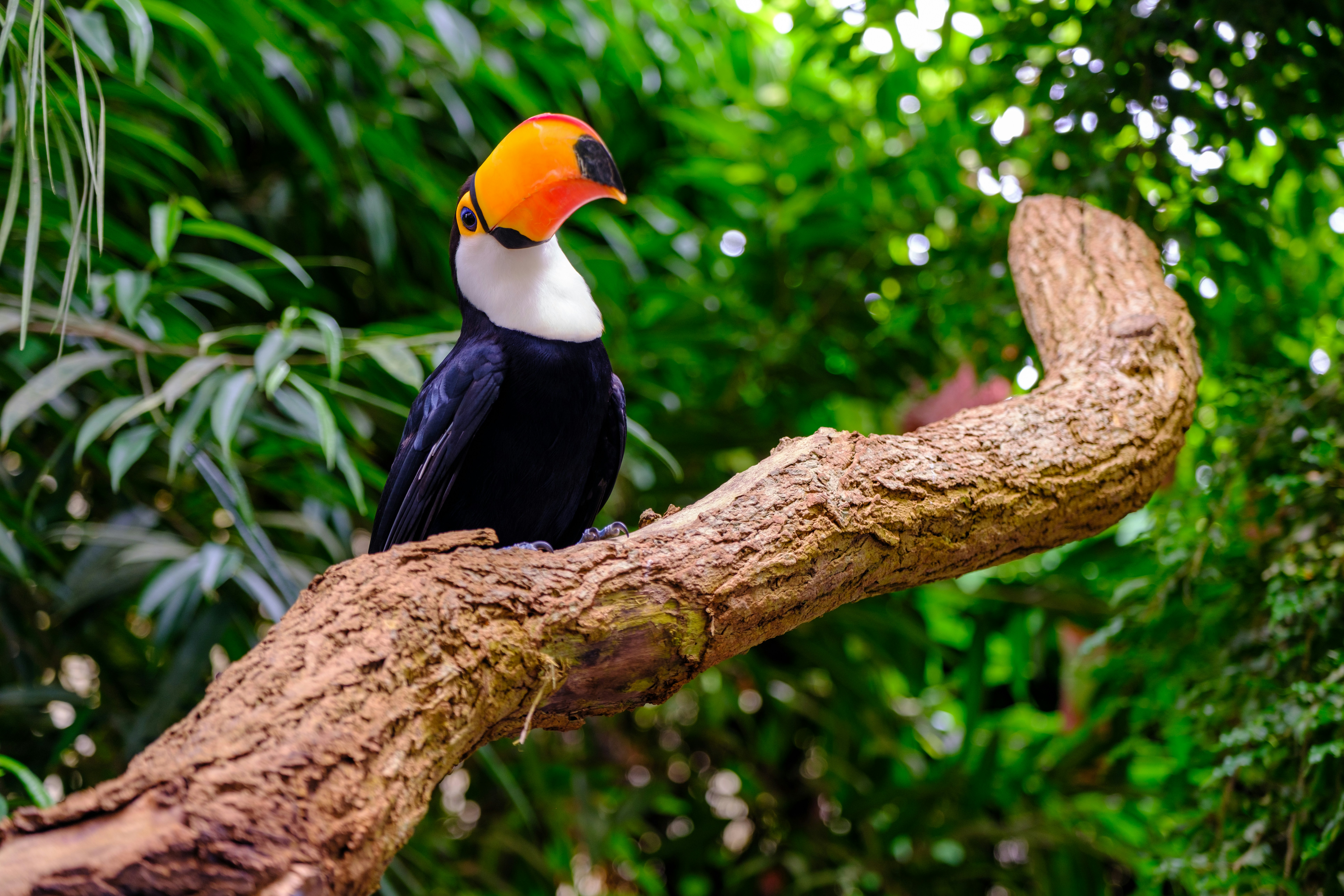 Photo by haberdoedas2