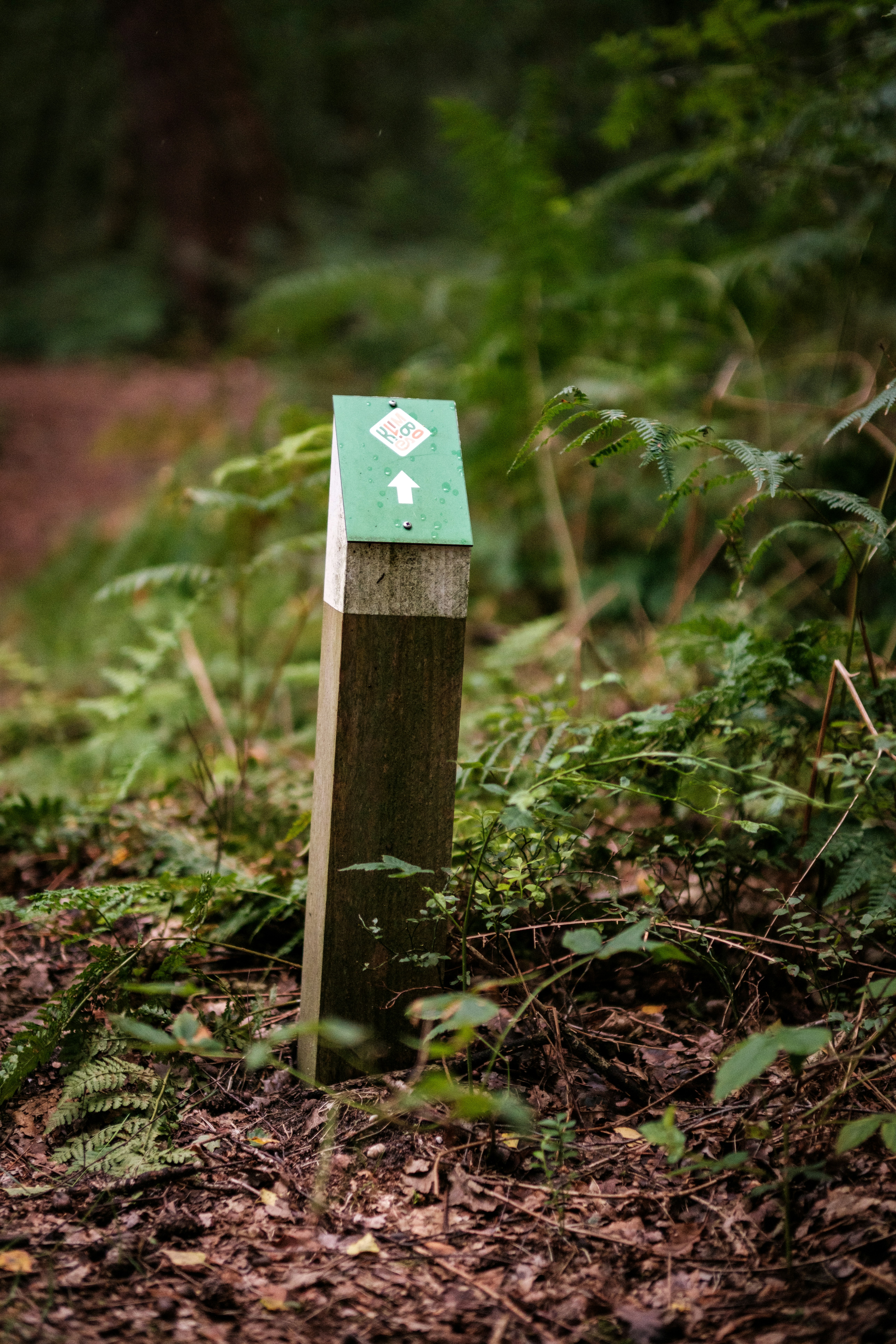 Photo by haberdoedas2