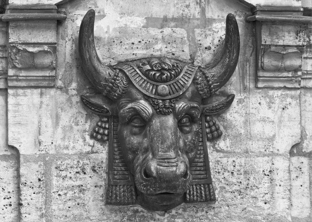 Una foto in bianco e nero di una testa di toro su un muro
