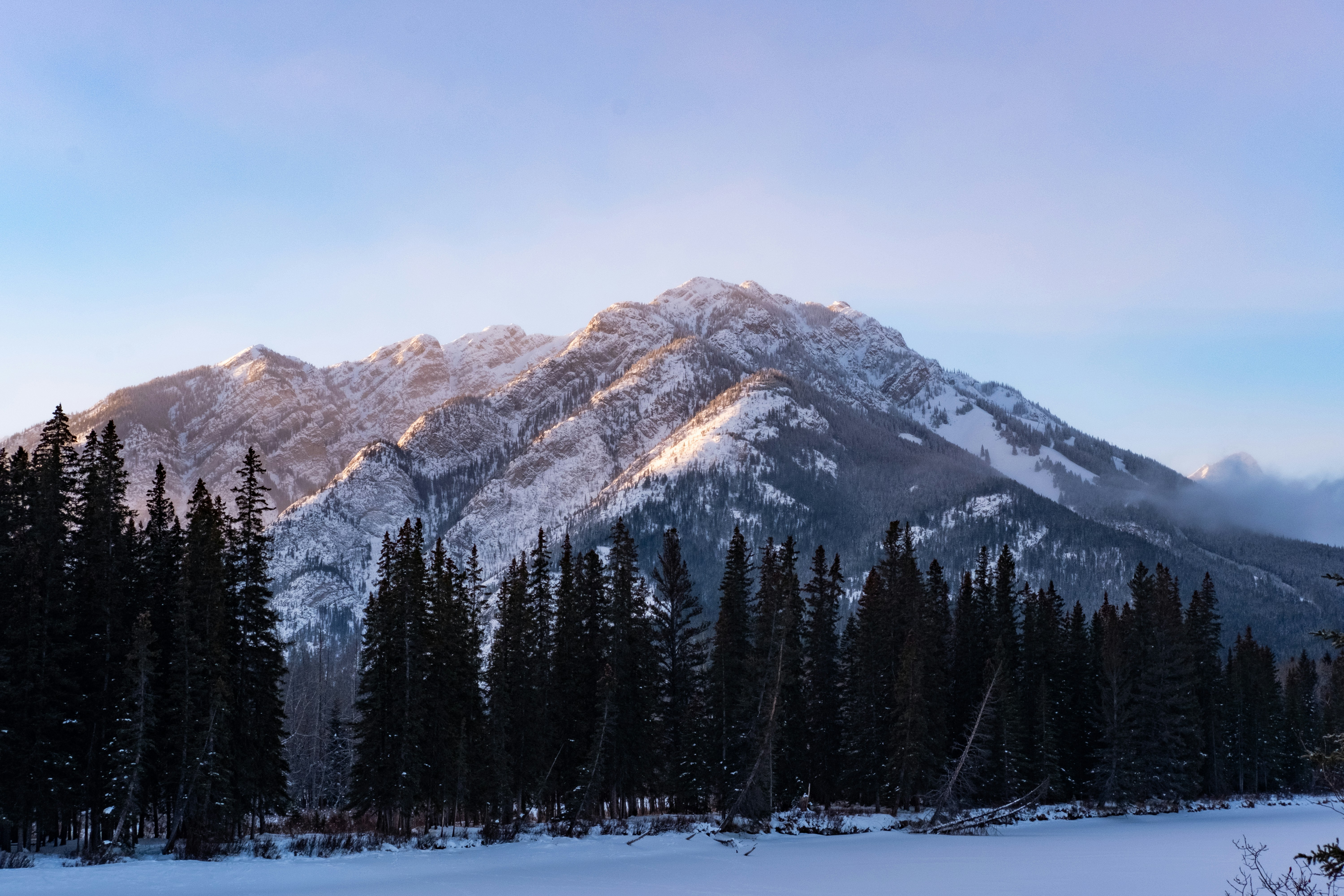 Photo by nigelloppie