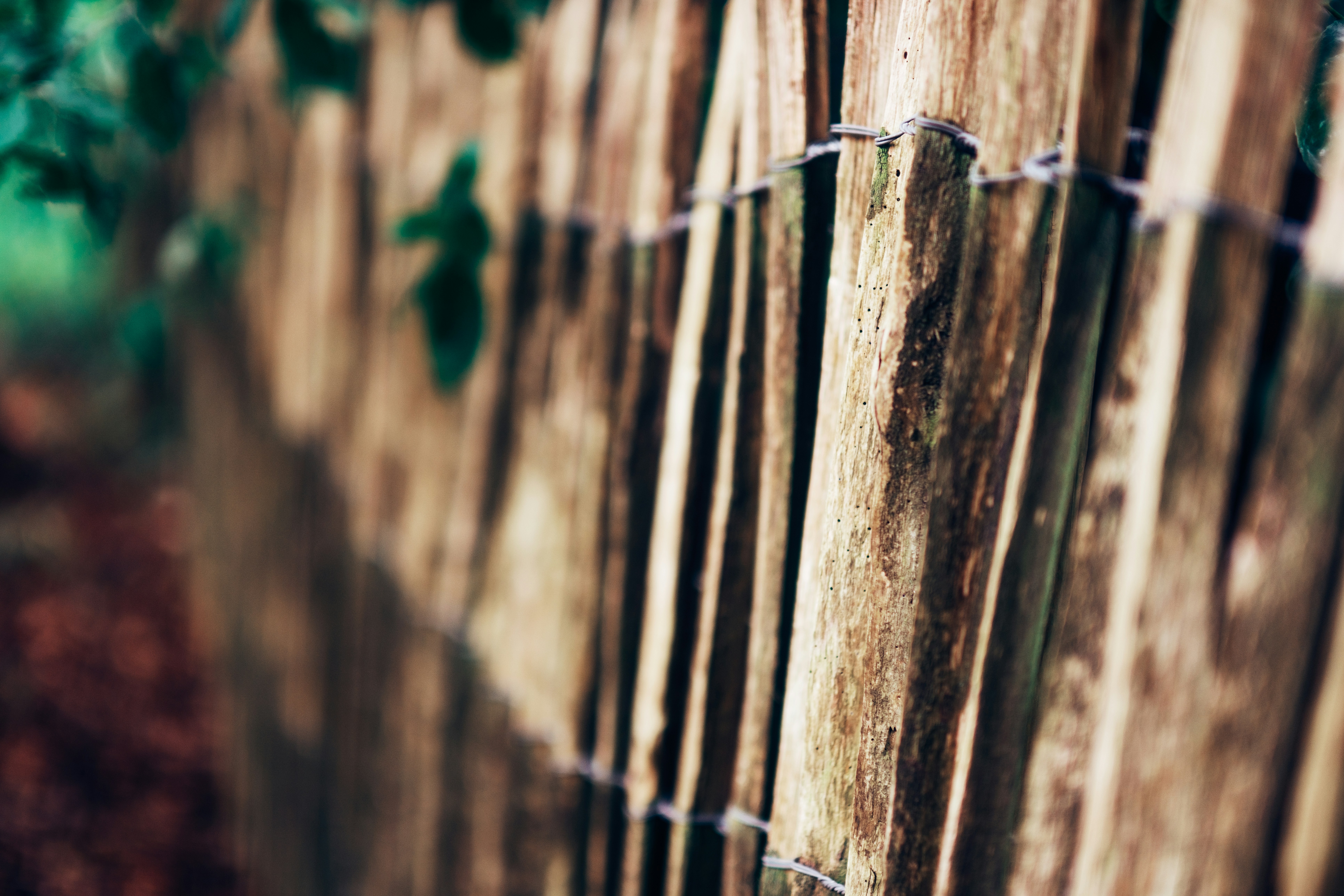 Photo by haberdoedas2