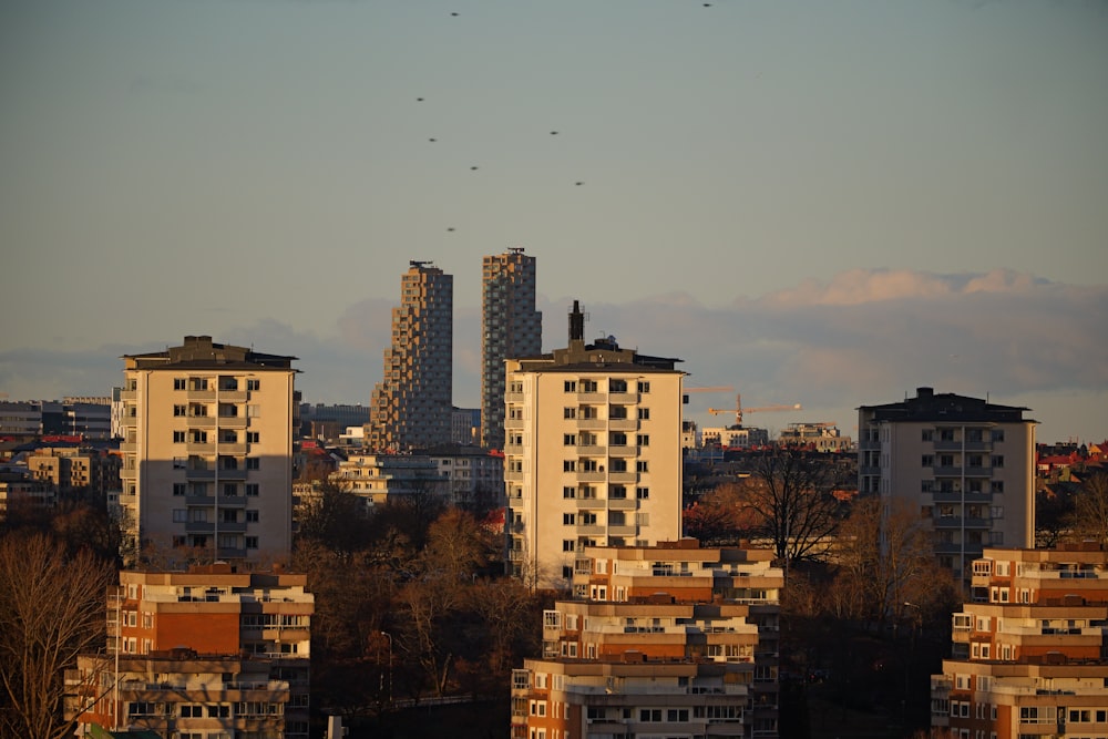 a city with tall buildings and birds flying in the sky