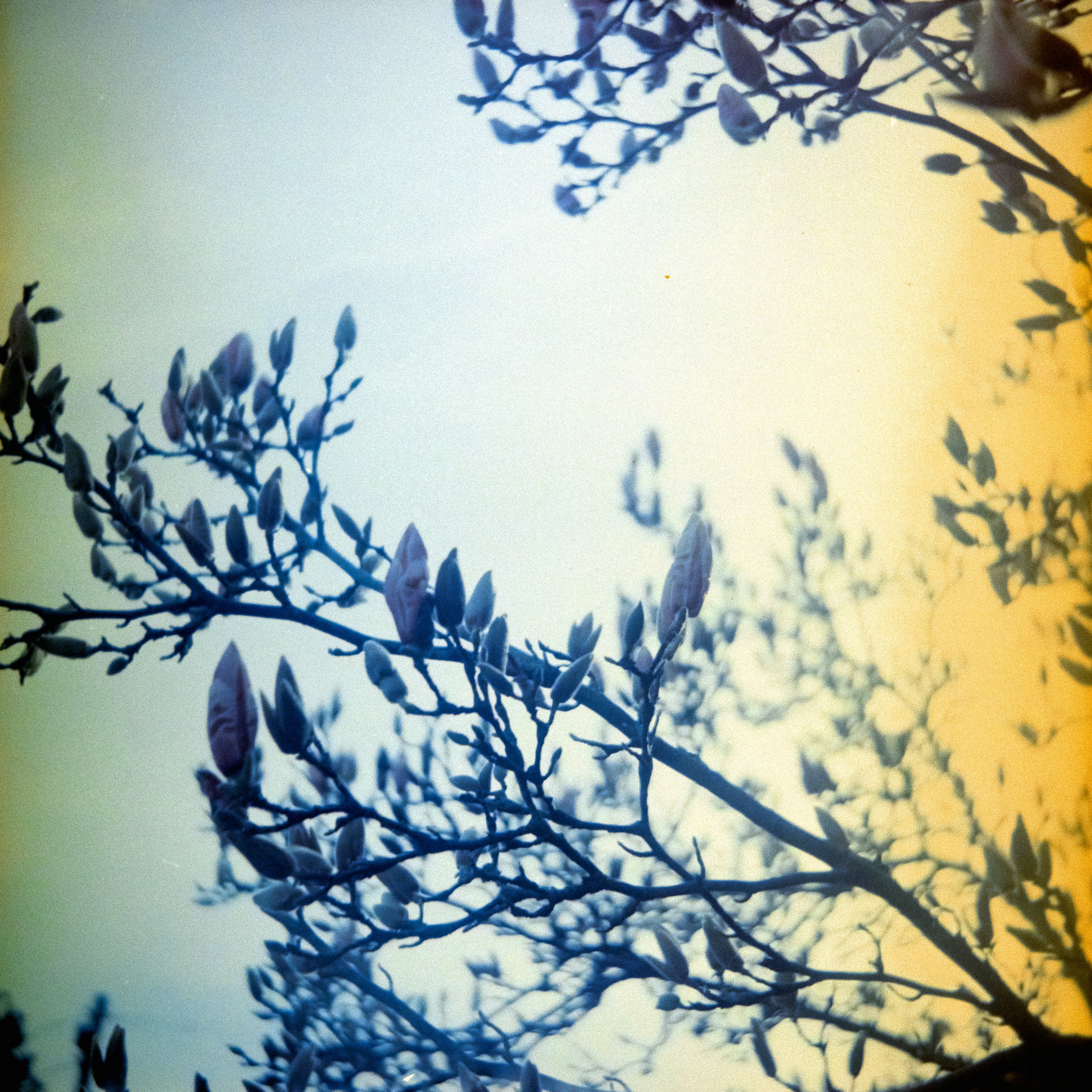 Photo by anniespratt