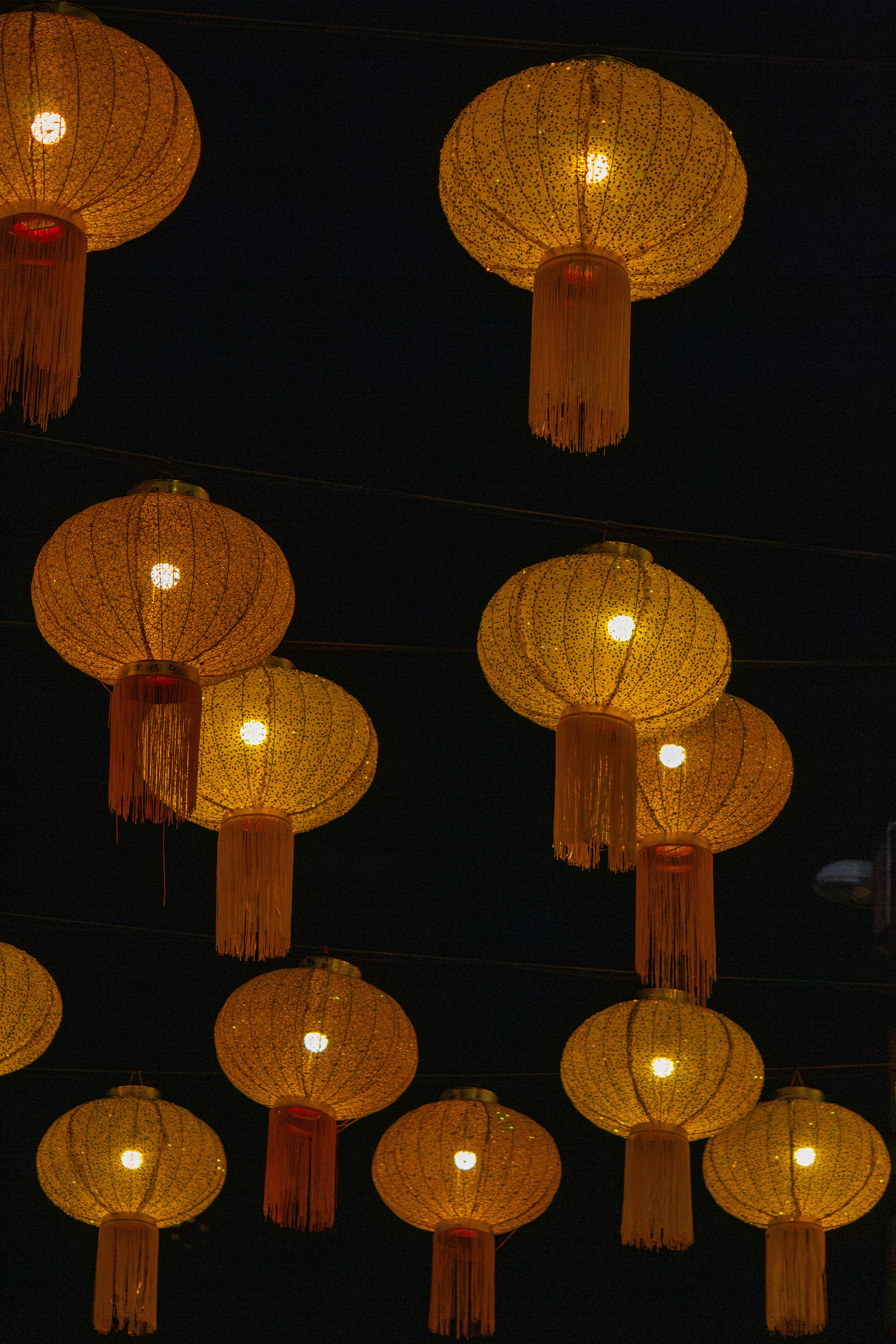 Photo by netographcapture