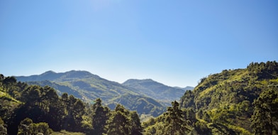 a scenic view of a mountain range with trees in the foreground