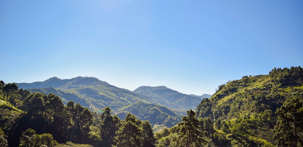 a scenic view of a mountain range with trees in the foreground