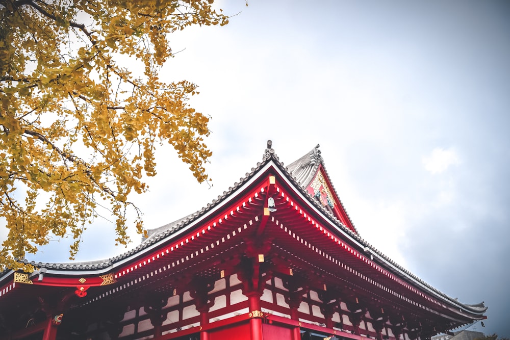 un alto edificio rojo con un árbol frente a él