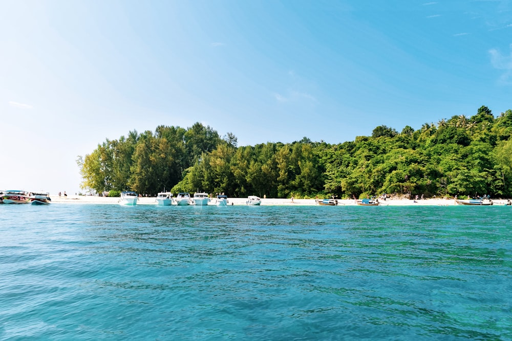 a group of boats floating on top of a body of water