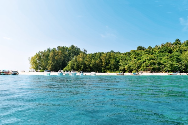 Trat Weather: Best Time to Visit by Season and Month