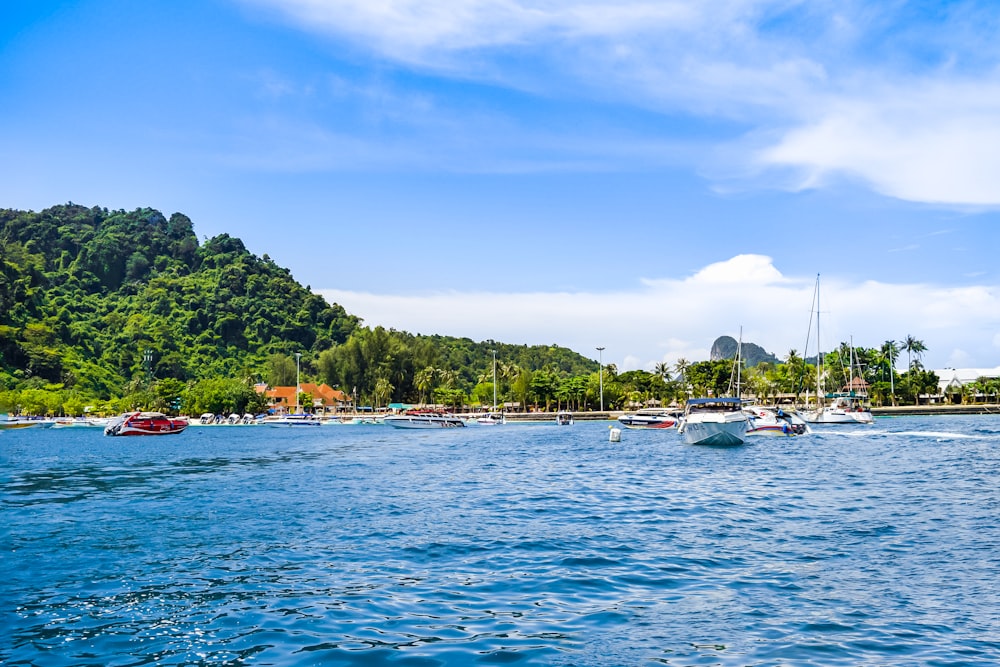 a group of boats floating on top of a body of water