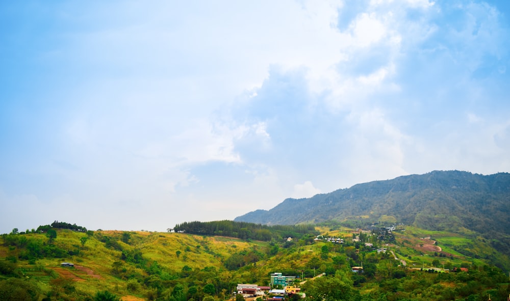 a lush green hillside covered in lots of trees