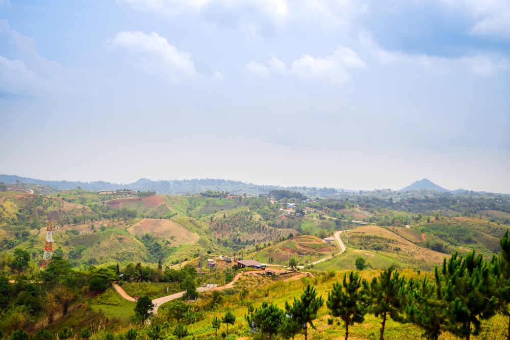 a scenic view of a lush green valley